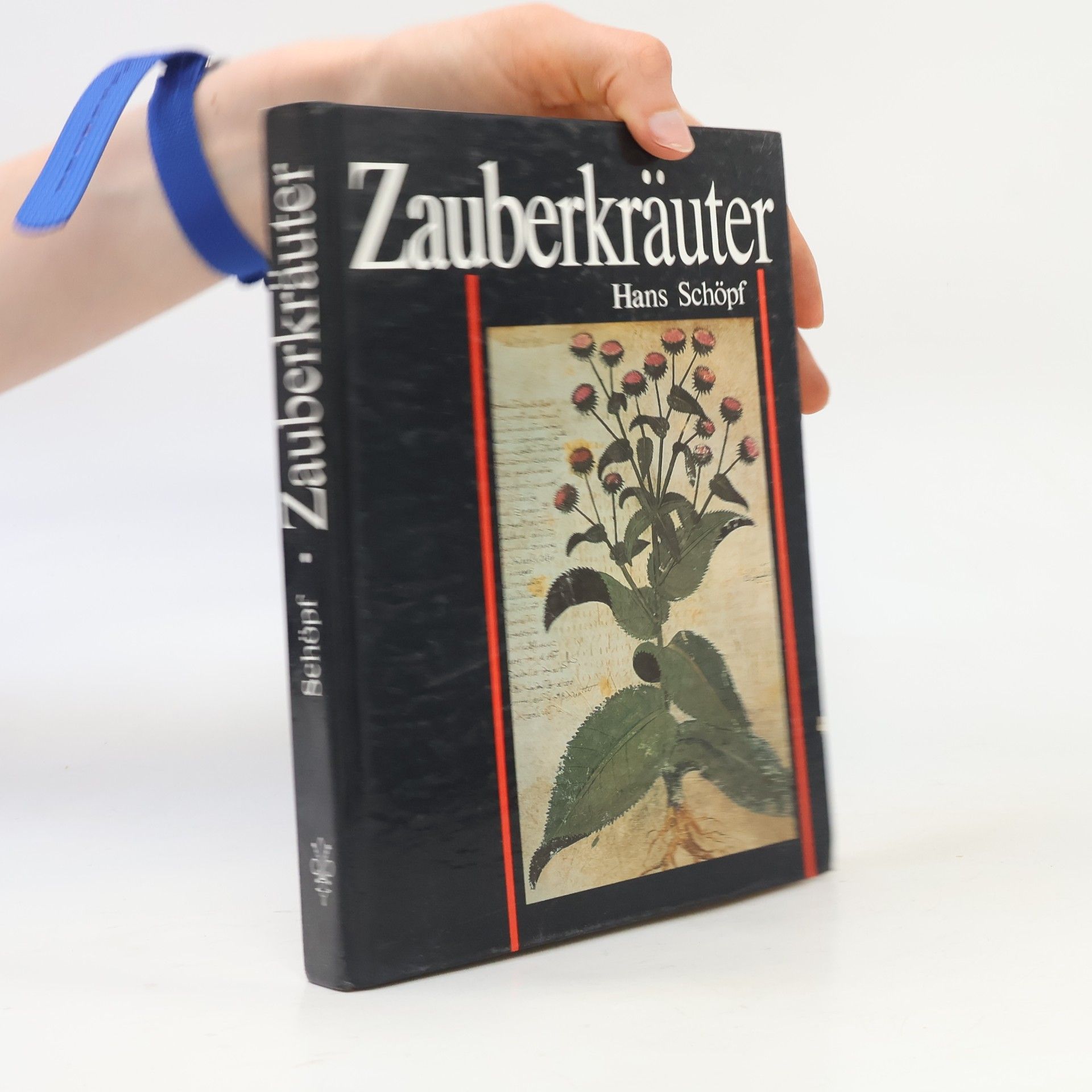 Hans Schöpf Zauberkräuter