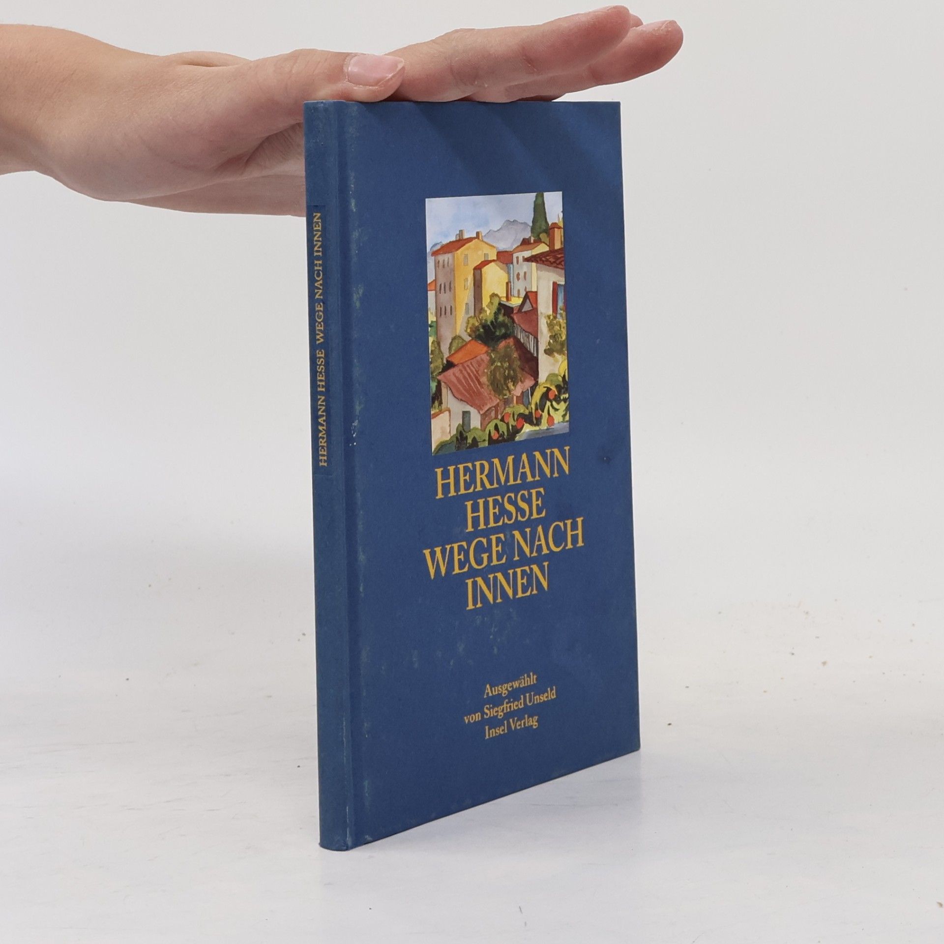 Hermann Hesse Wege nach innen