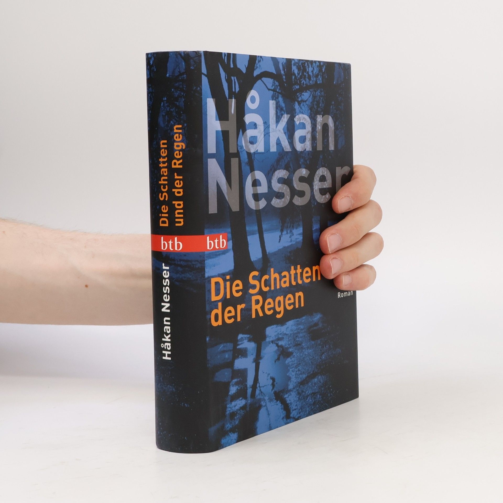 Håkan Nesser Die Schatten und der Regen