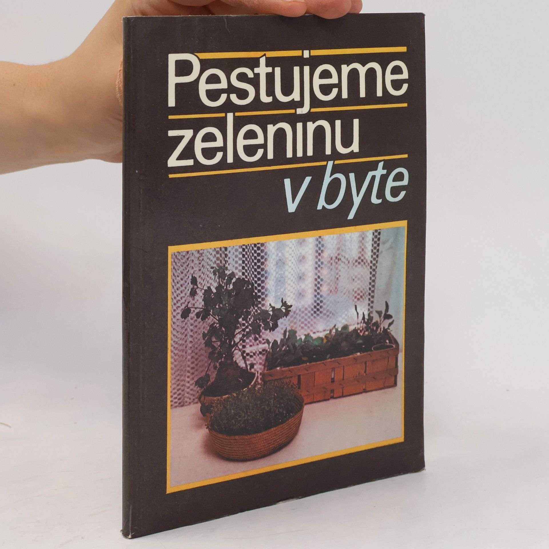 N. Bogdanova Pestujeme zeleninu v byte
