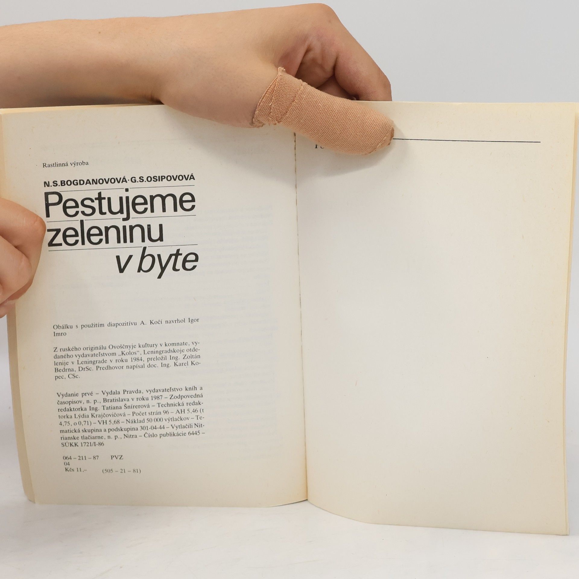 N. Bogdanova Pestujeme zeleninu v byte