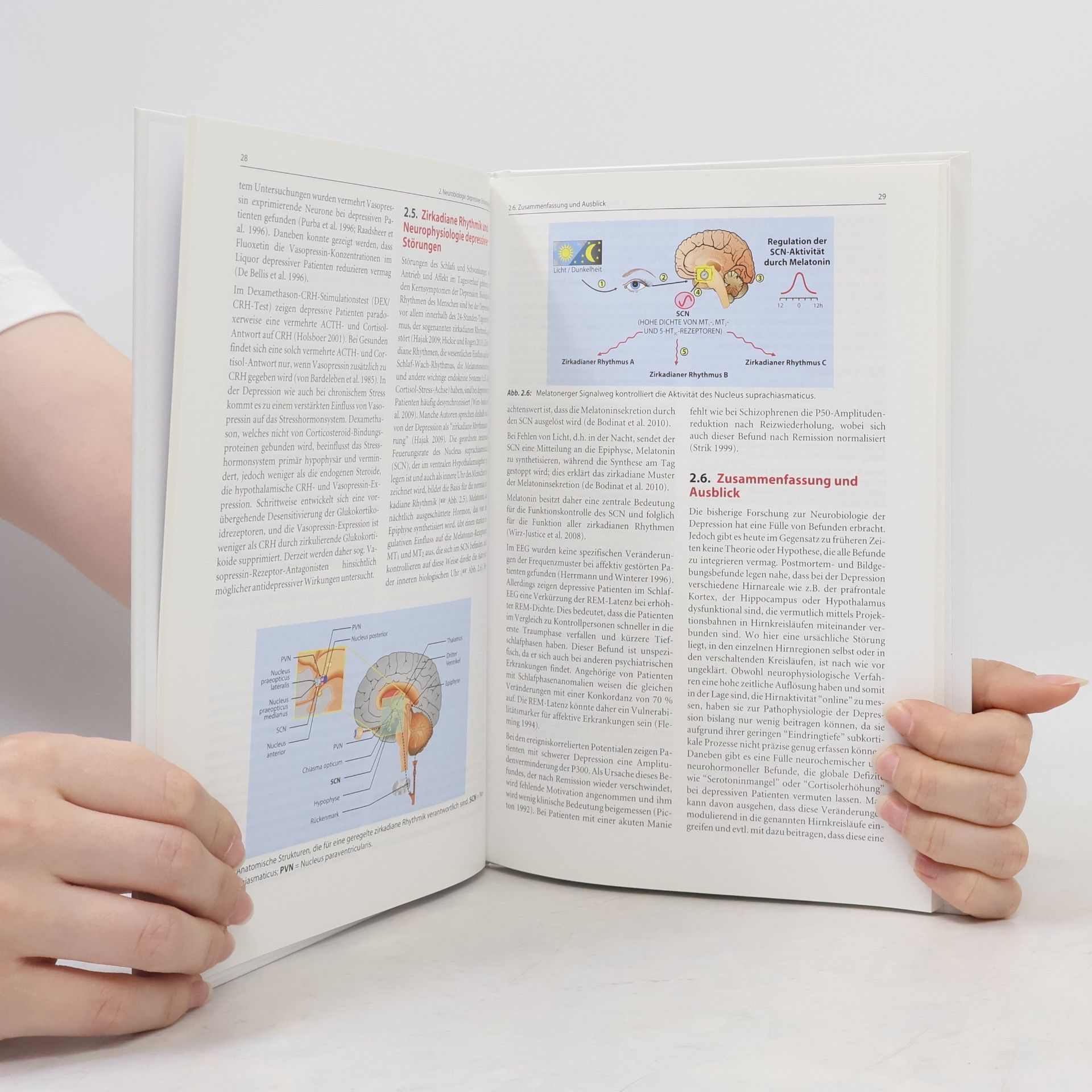 Michael Bauer Neurobiologie und Therapie depressiver Erkrankungen