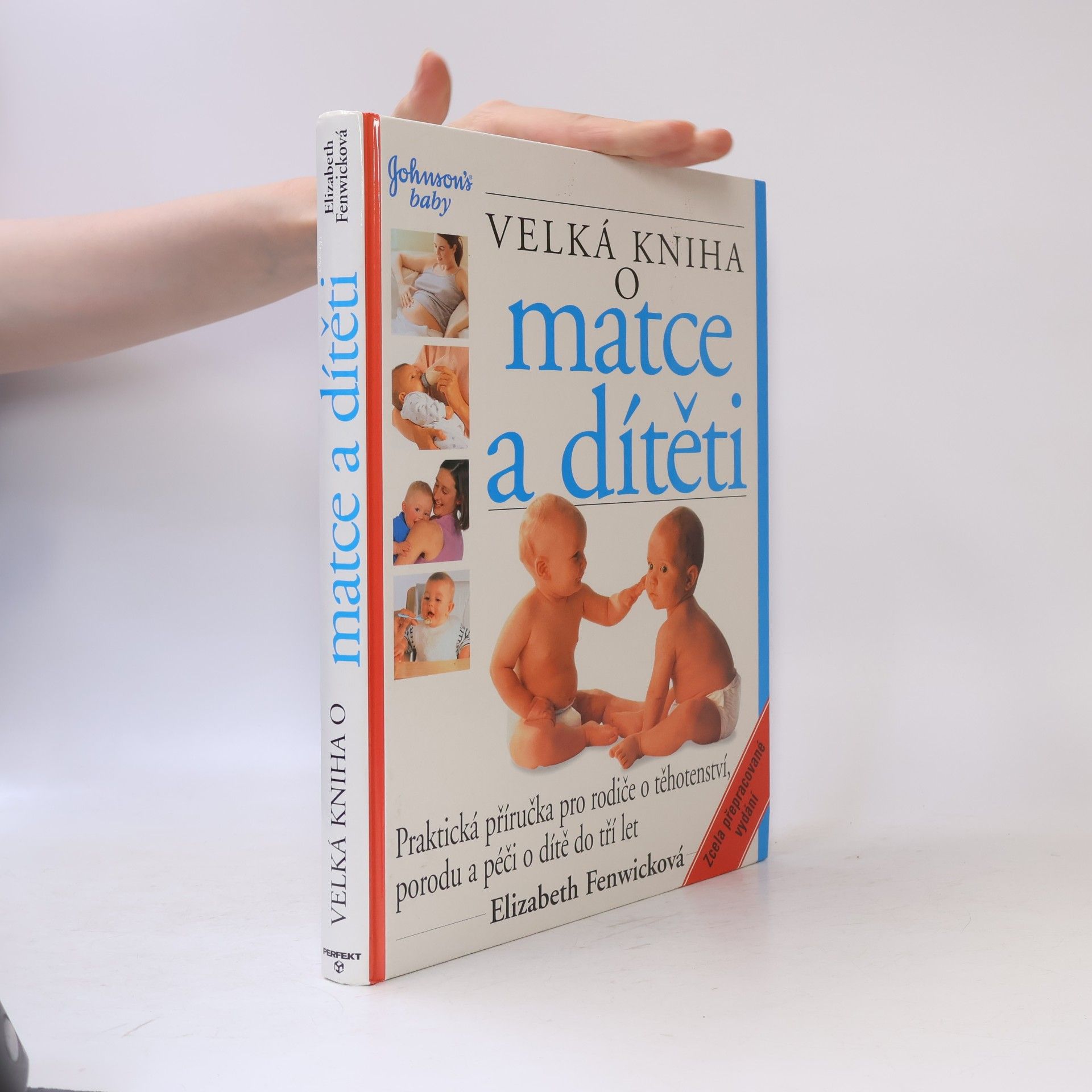 Elizabeth Fenwick Velká kniha o matce a dítěti