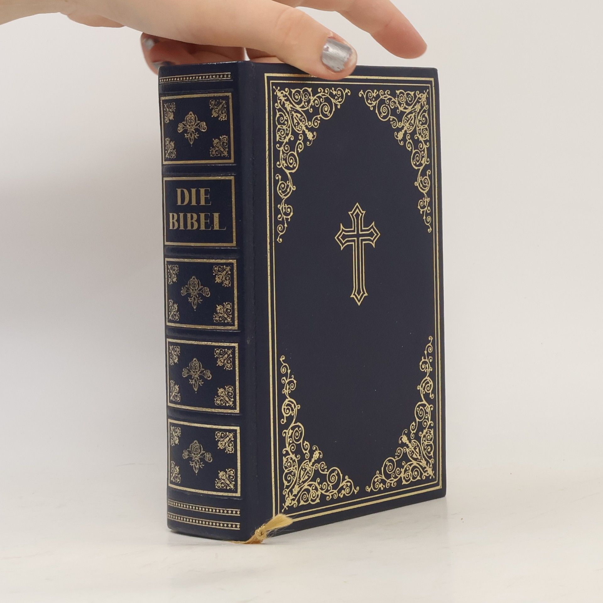 Vinzenz Hamp Die Bibel