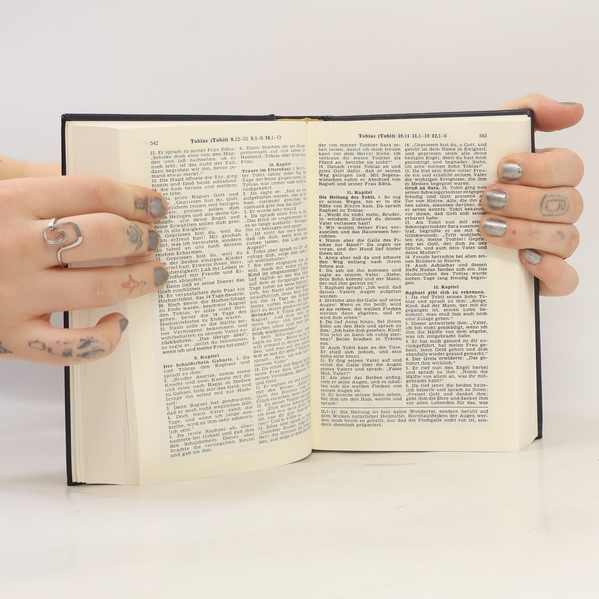 Vinzenz Hamp Die Bibel