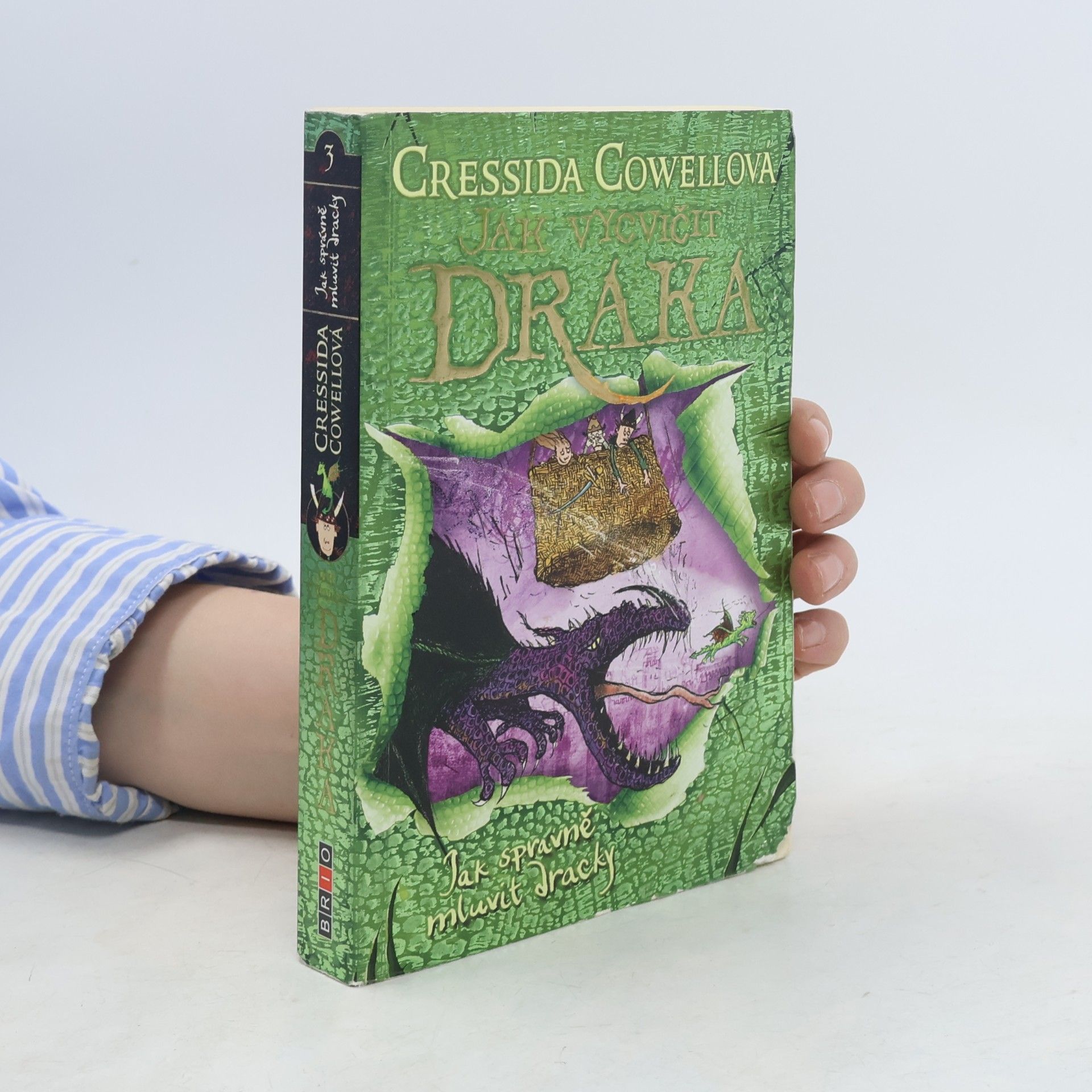 Cressida Cowell Jak správně mluvit dracky