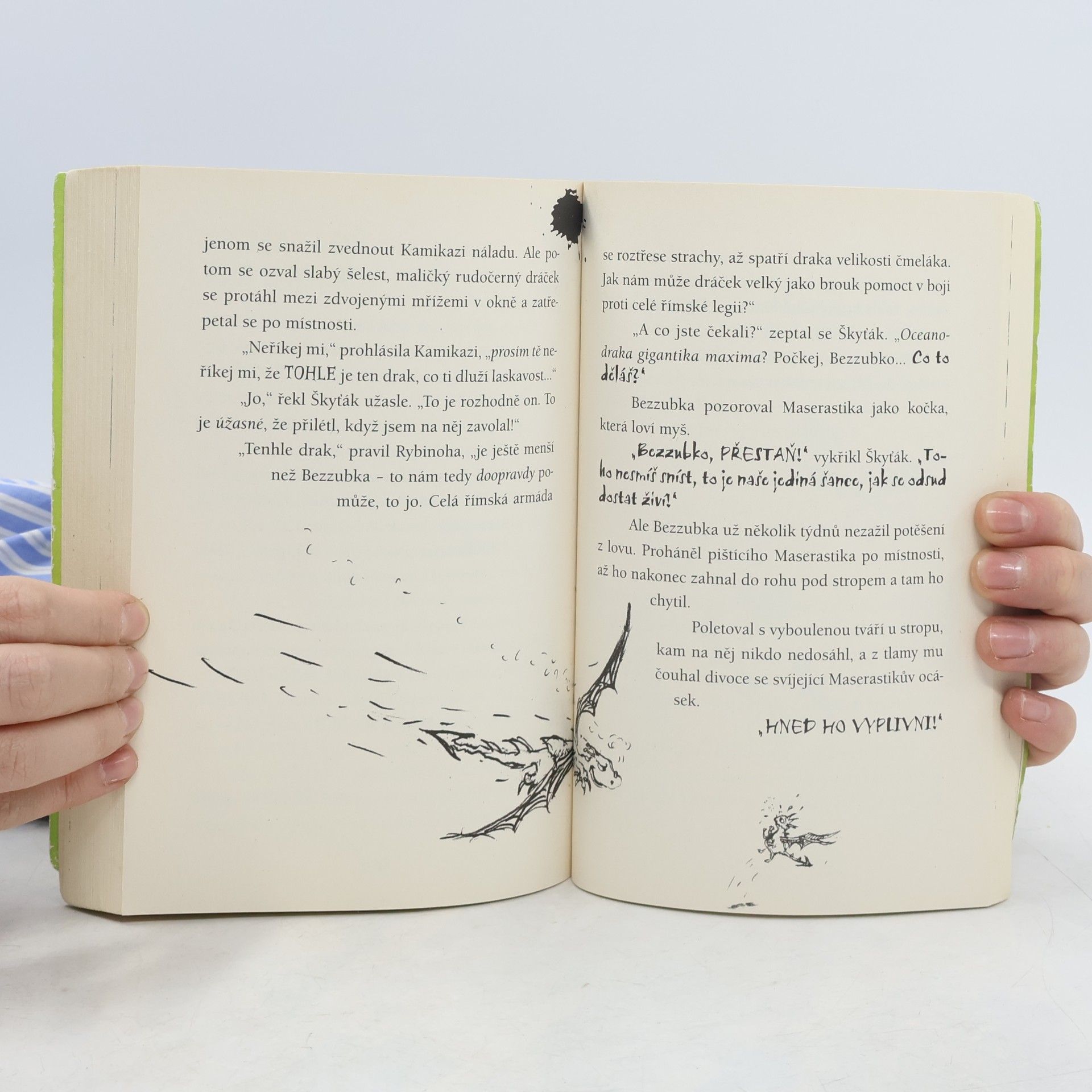 Cressida Cowell Jak správně mluvit dracky