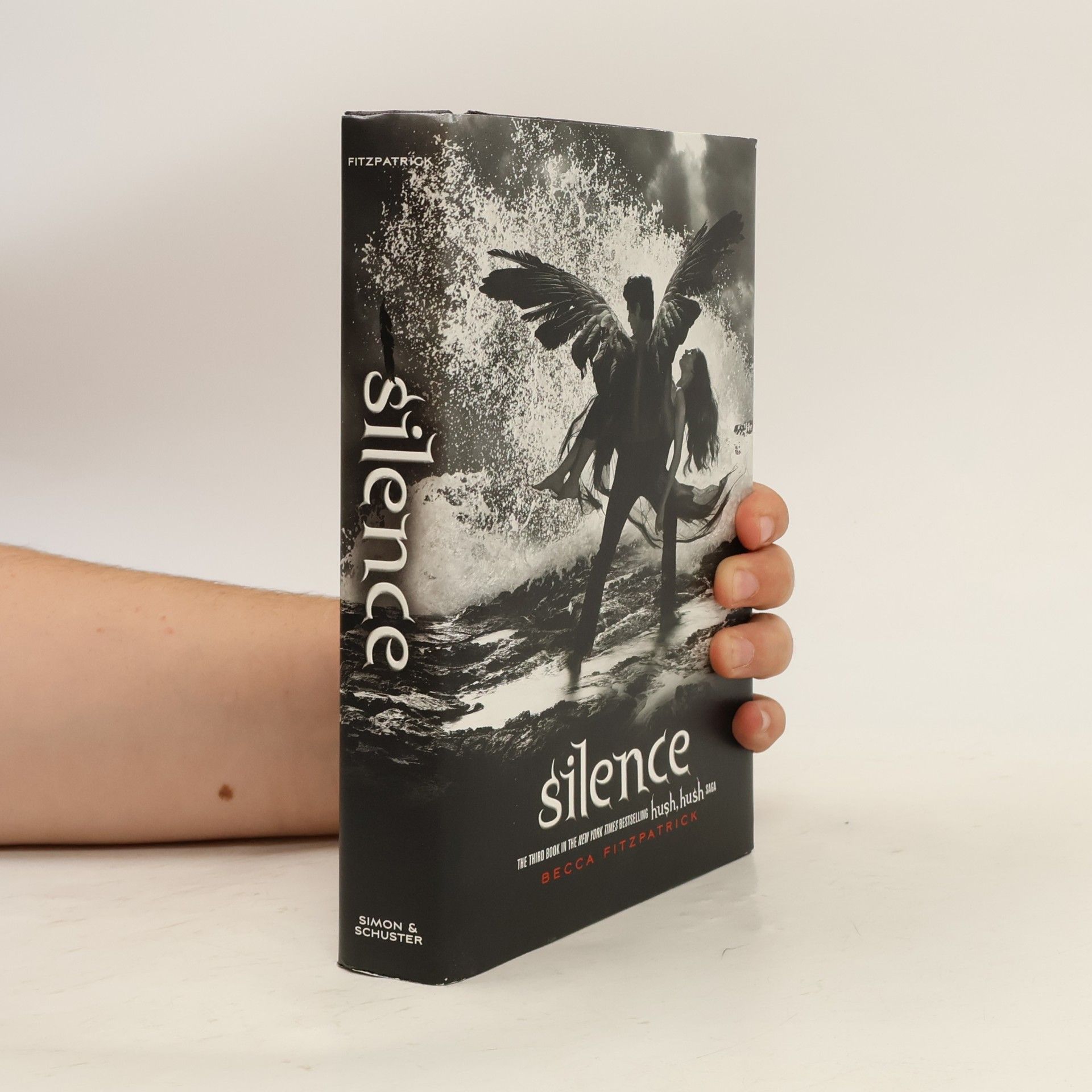 Becca Fitzpatrick Silence