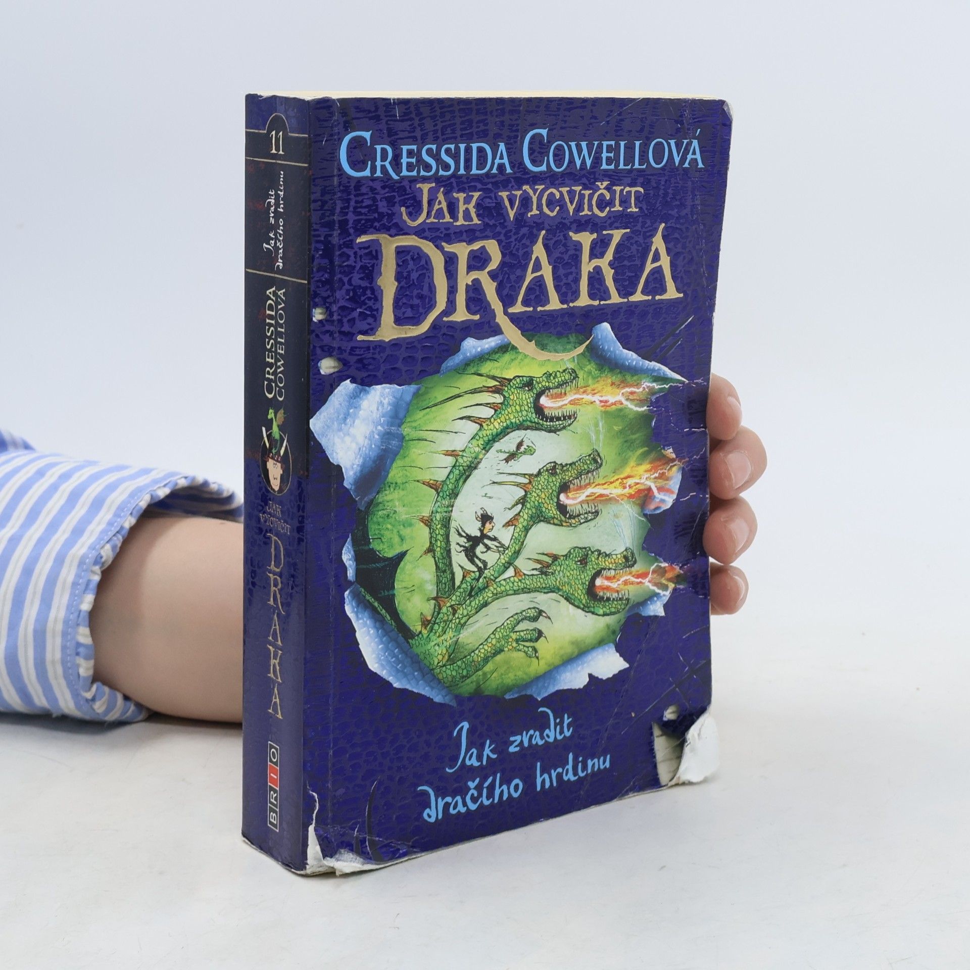 Cressida Cowell Jak zradit dračího hrdinu