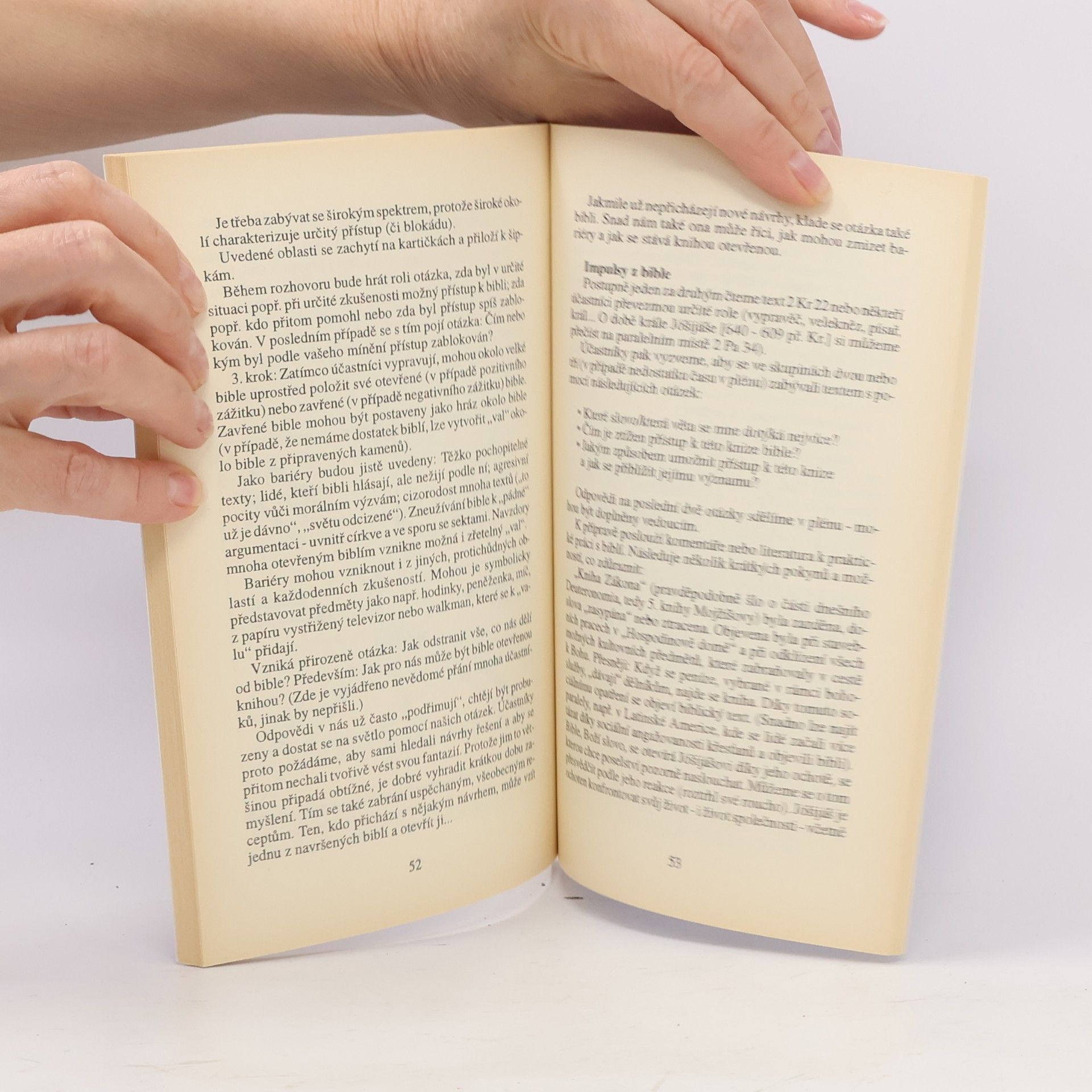 Anneliese Hecht Přístupy k bibli