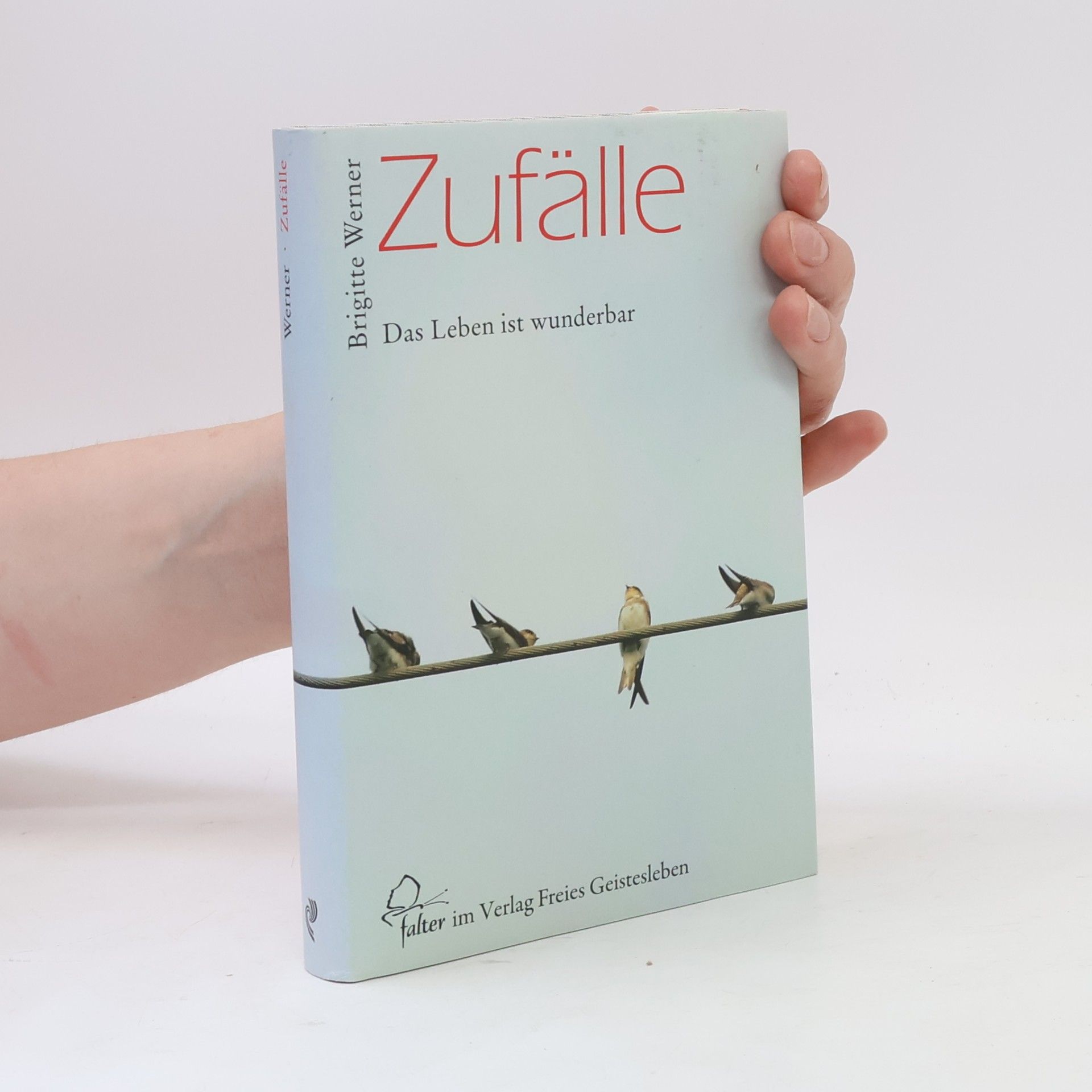 Brigitte Werner Zufälle