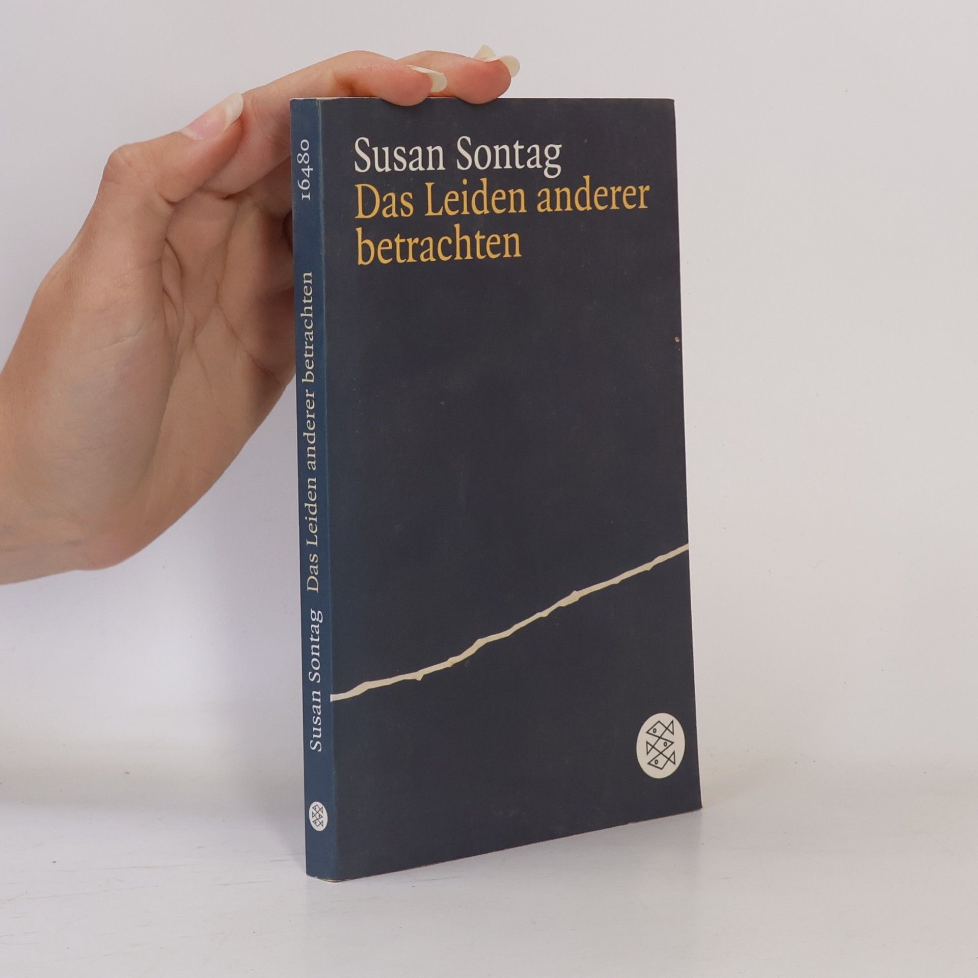 Susan Sontag Das Leiden anderer betrachten