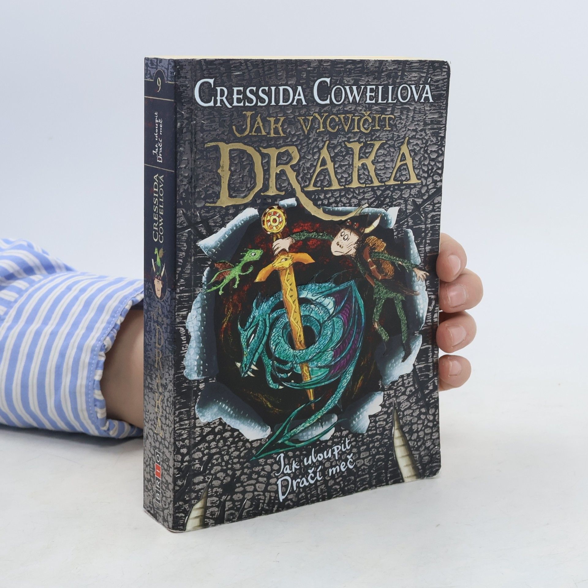 Cressida Cowell Jak uloupit dračí meč