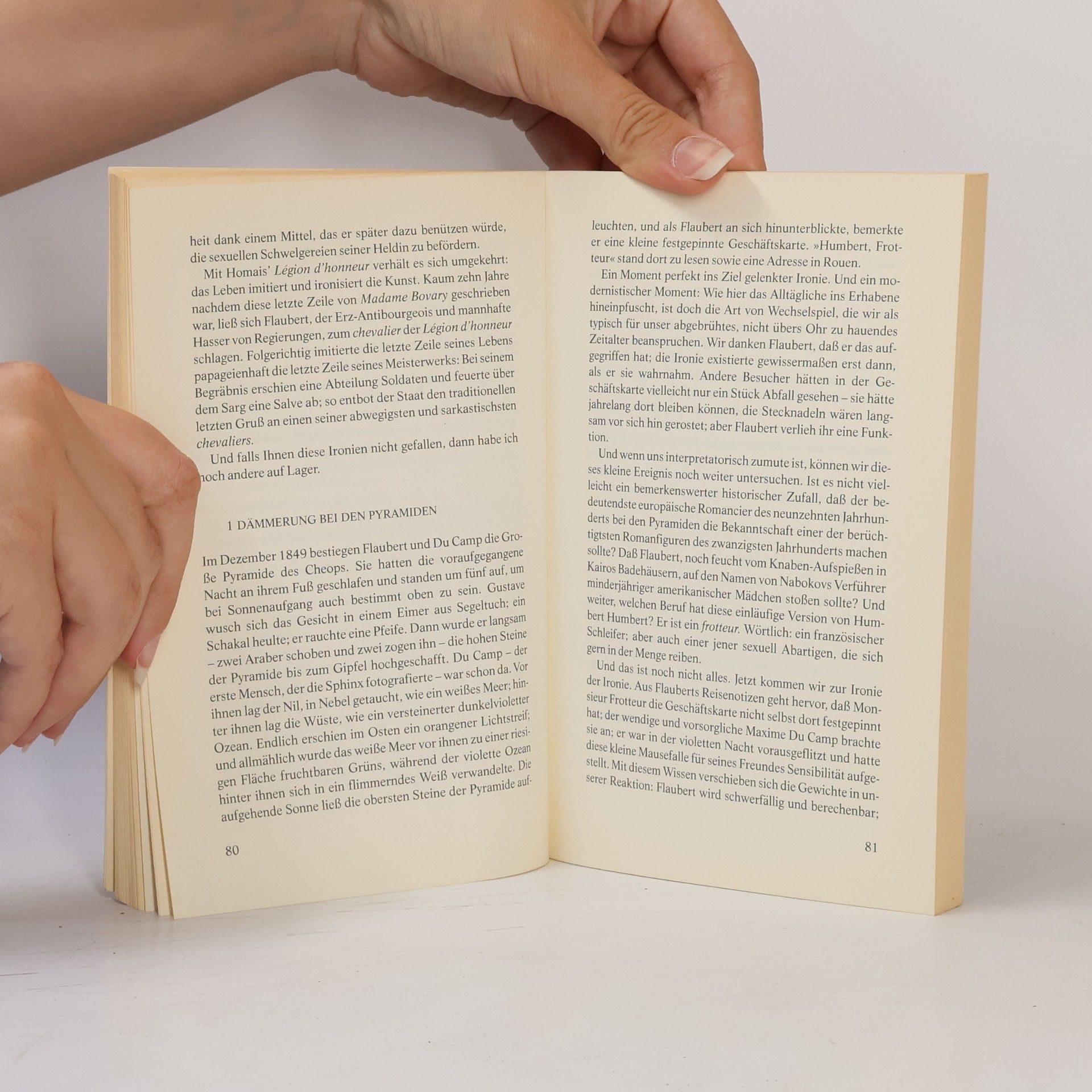 Julian Barnes Flauberts Papagei
