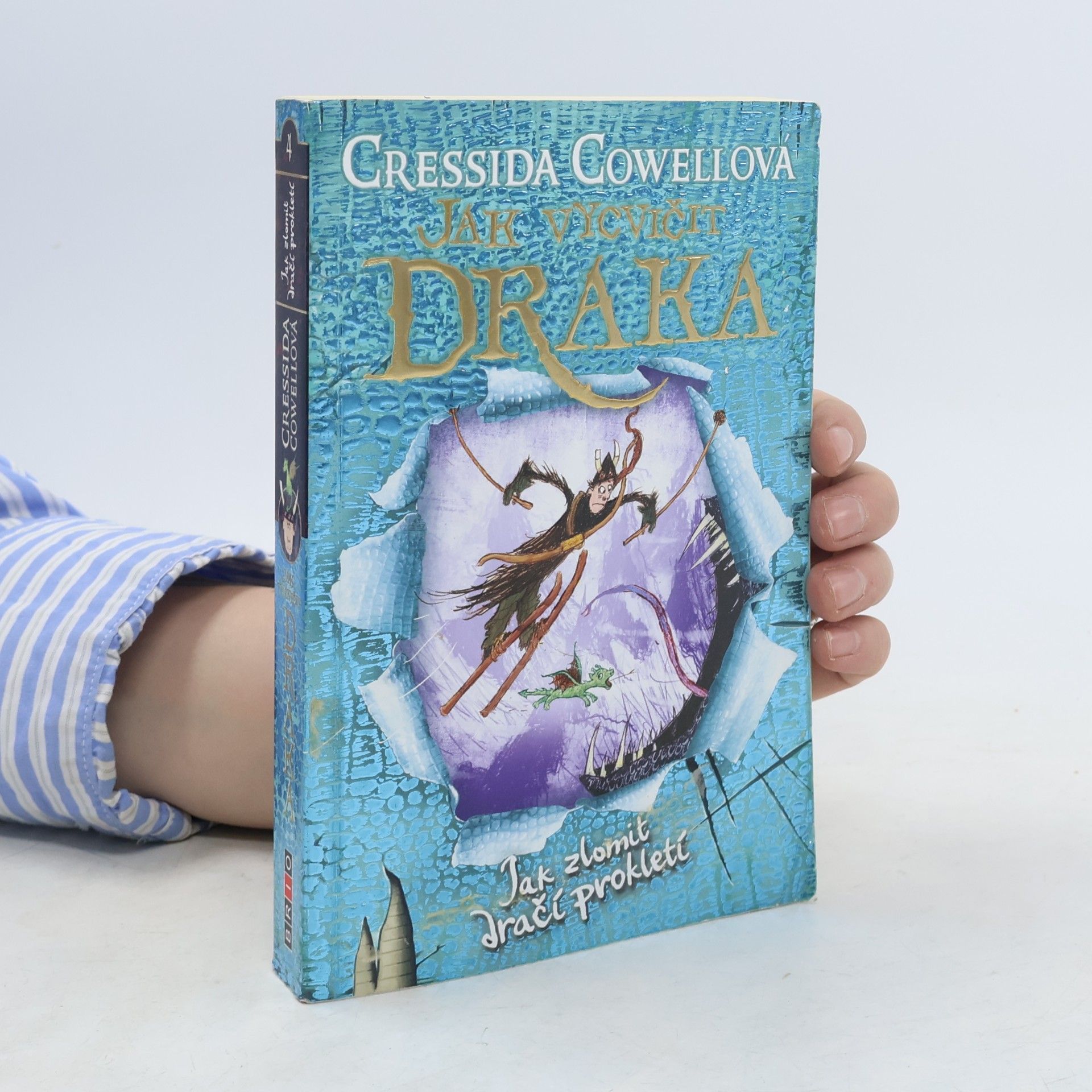 Cressida Cowell Jak zlomit dračí prokletí (Škyťák Šelmovská Štika III.) 4