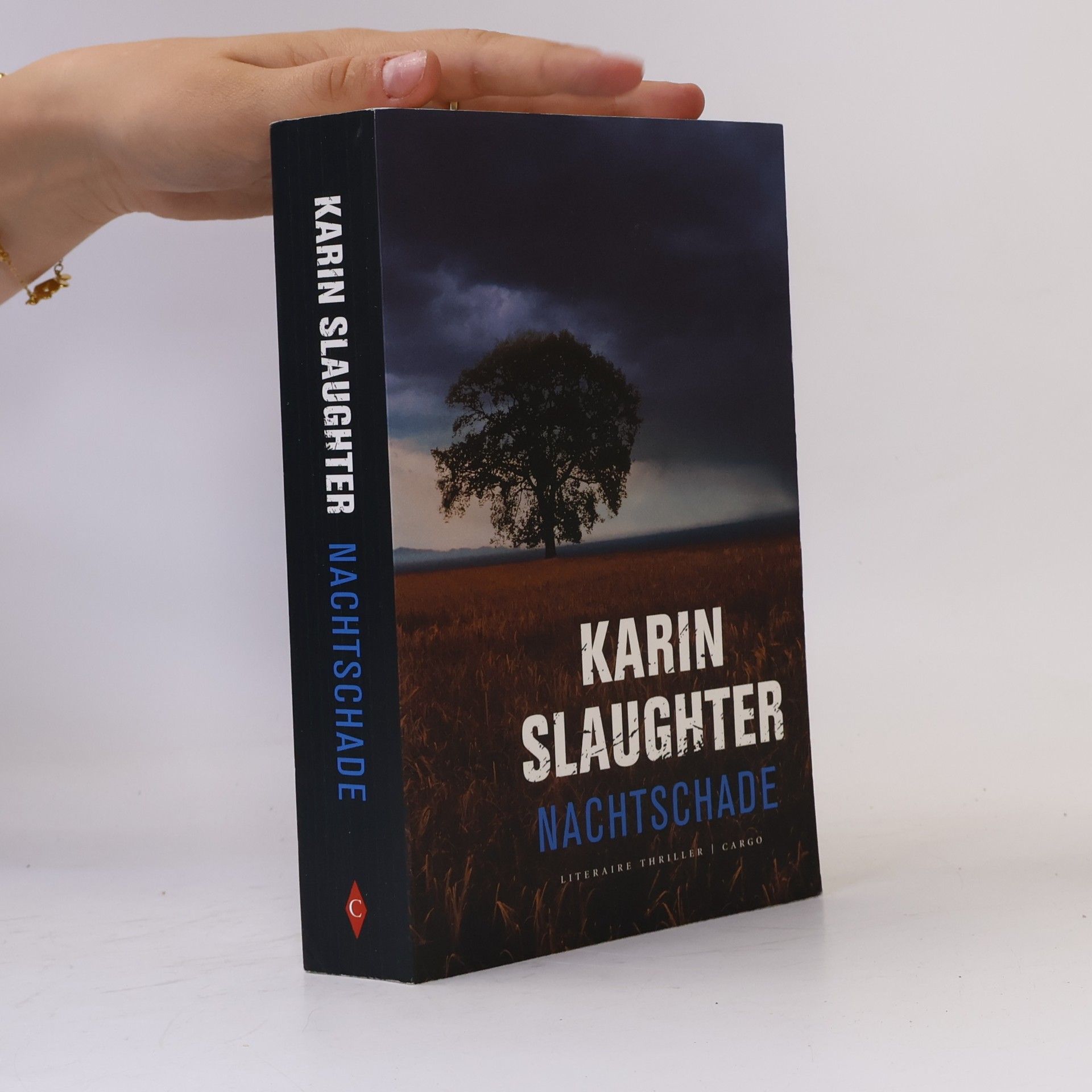 Karin Slaughter Nachtschade