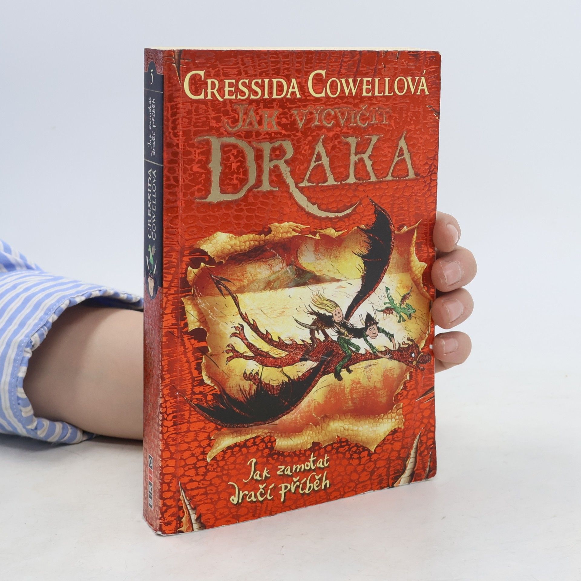 Cressida Cowell Jak zamotat dračí příběh