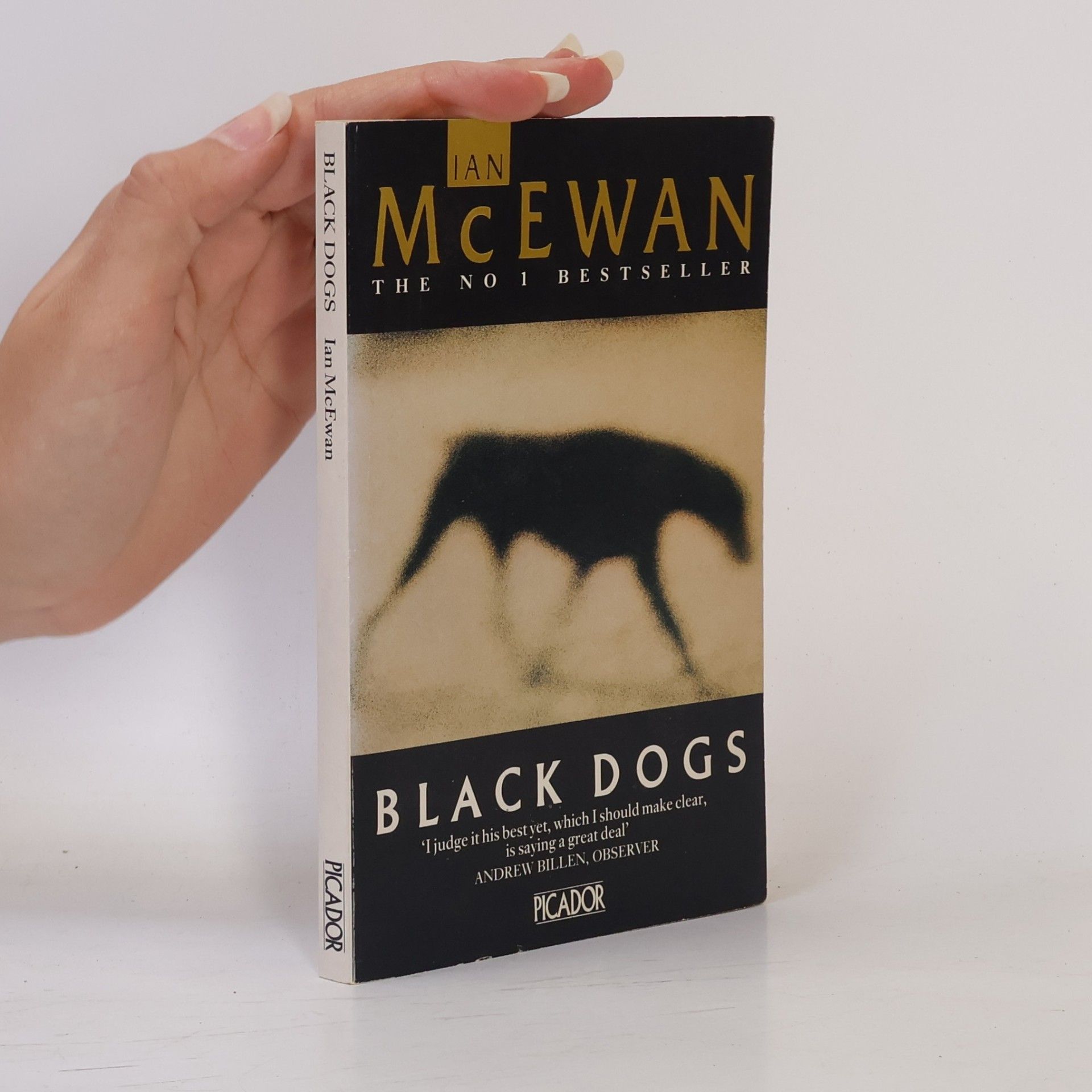 Ian McEwan Black Dogs