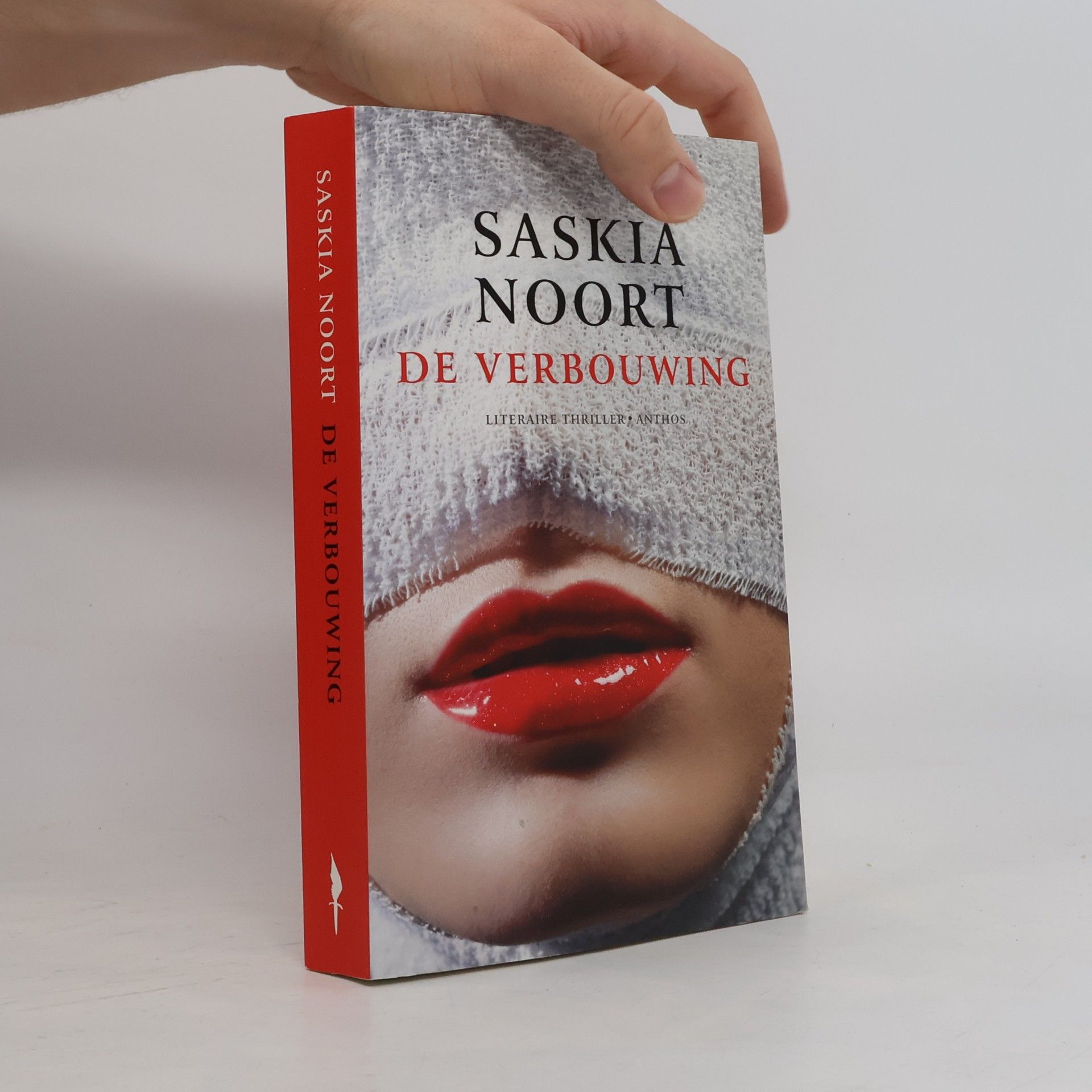 Saskia Noort De verbouwing