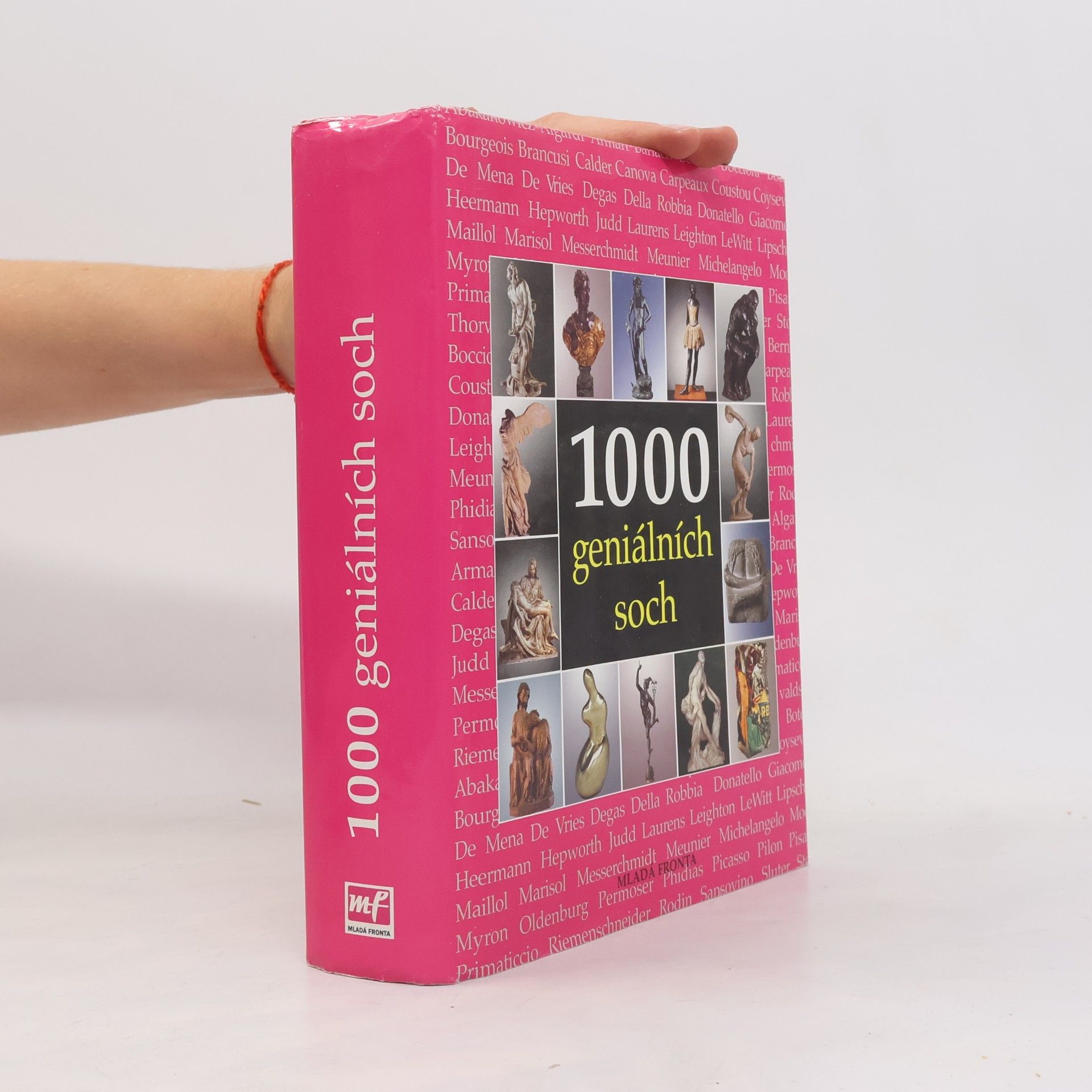 Sarah Costello 1000 geniálních soch