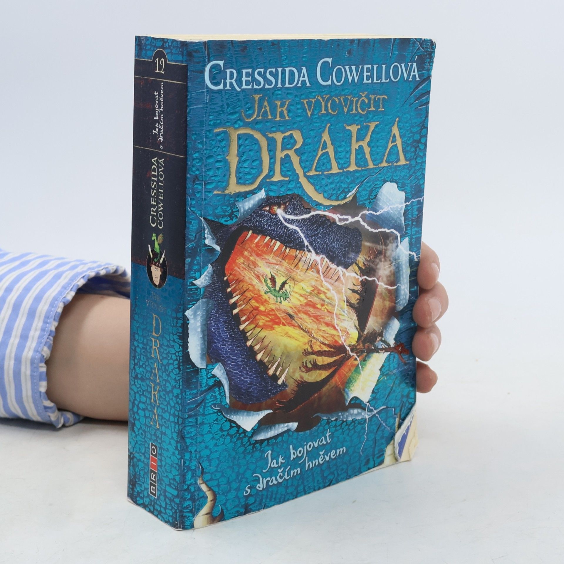 Cressida Cowell Jak bojovat s dračím hněvem