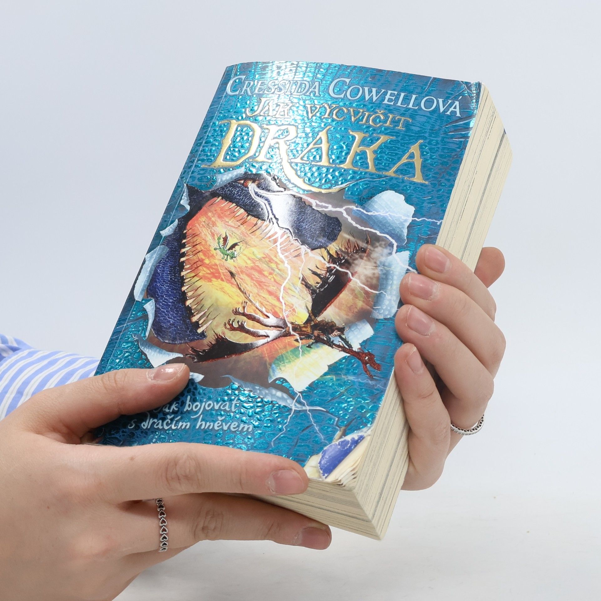 Cressida Cowell Jak bojovat s dračím hněvem