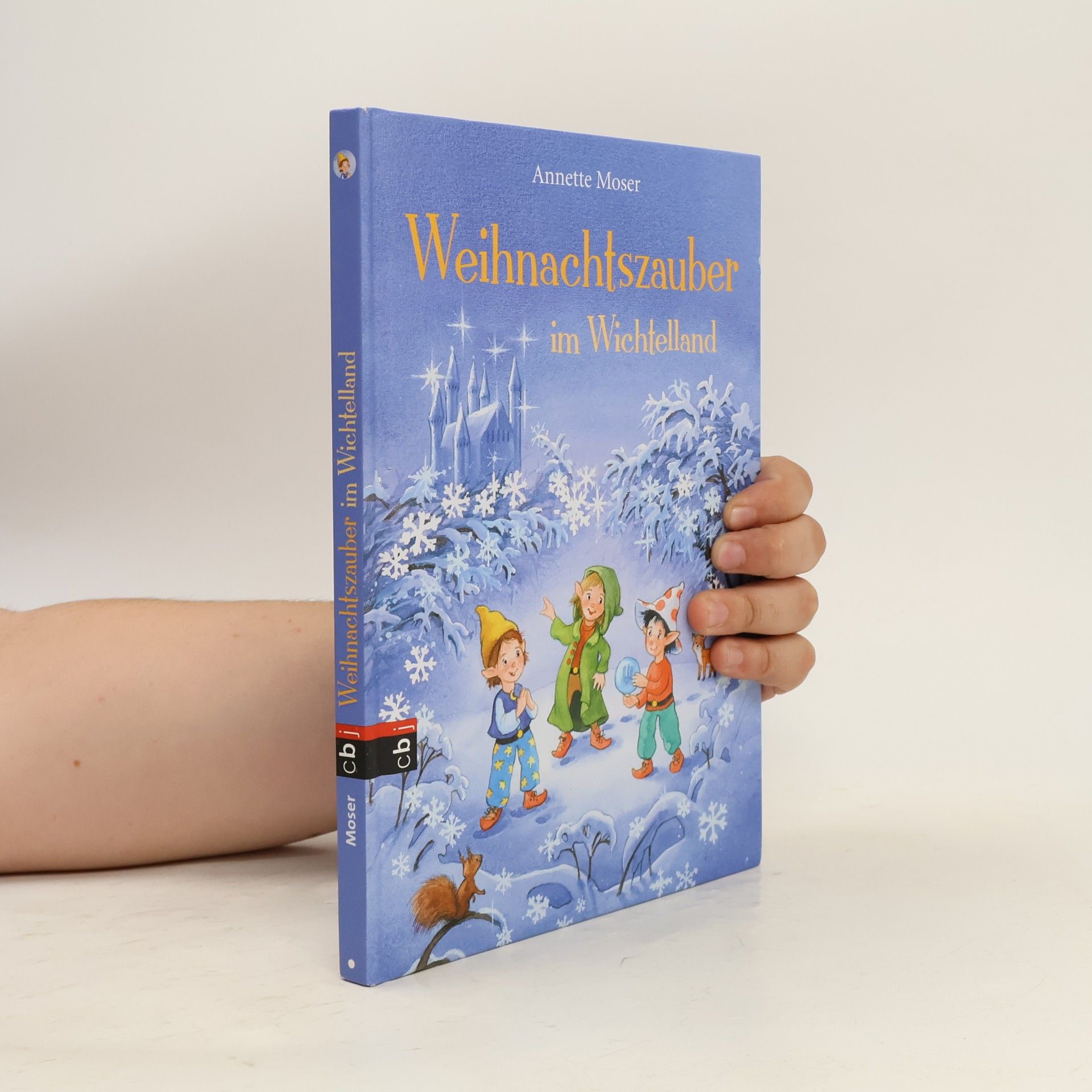 Weihnachtszauber im Wichtelland