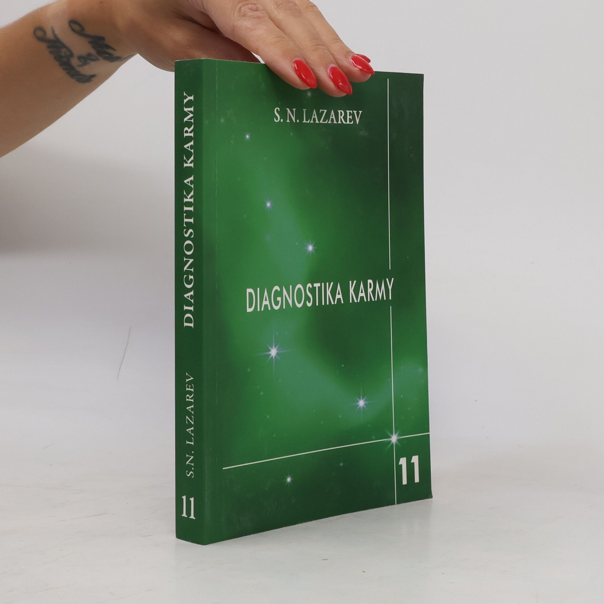 Diagnostika karmy. Kniha jedenáctá, Završení dialogu