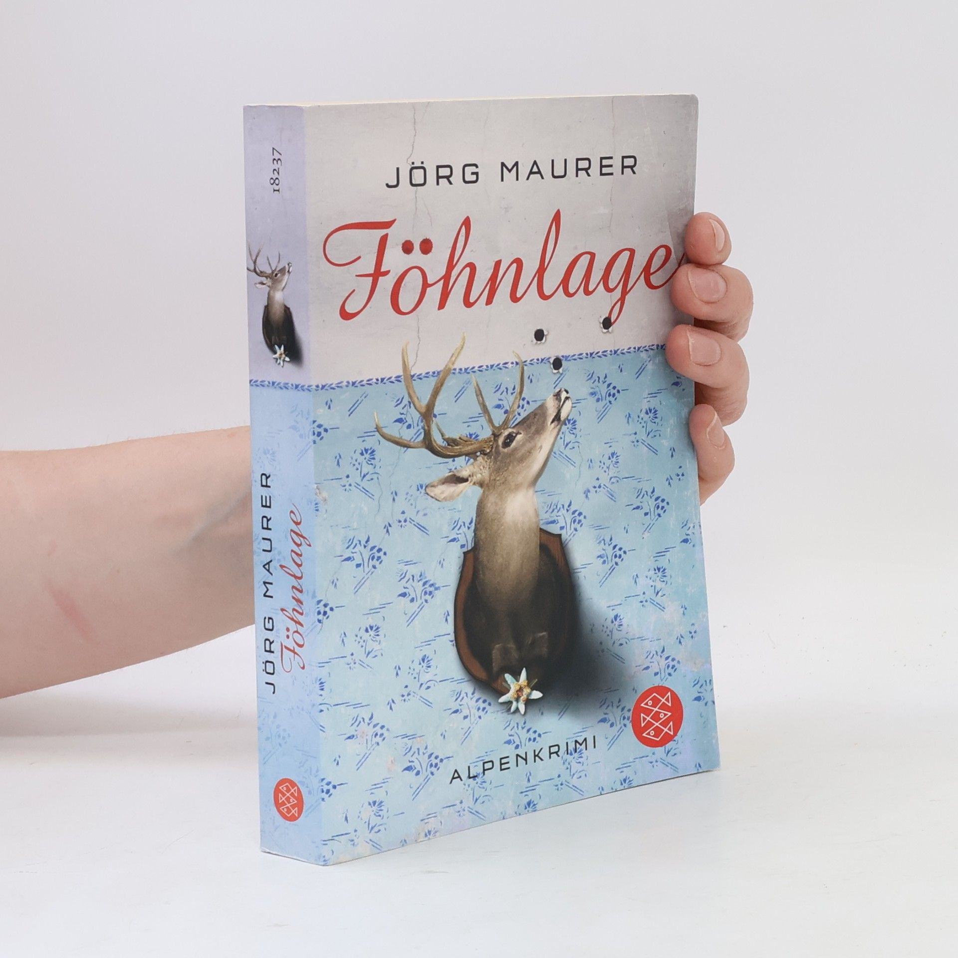 Jörg Maurer Föhnlage