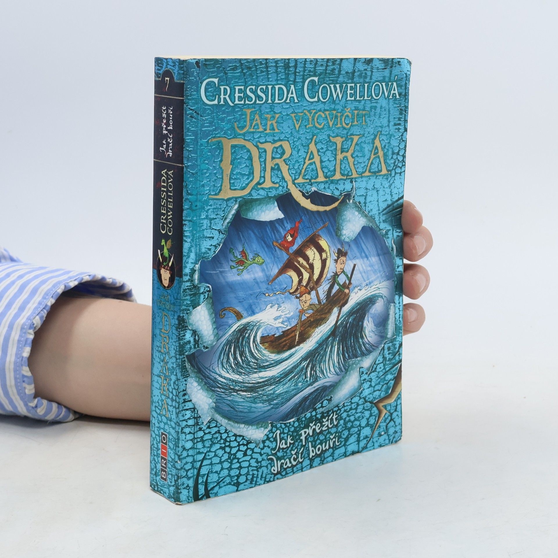 Cressida Cowell Jak vycvičit draka. Jak přežít dračí bouři