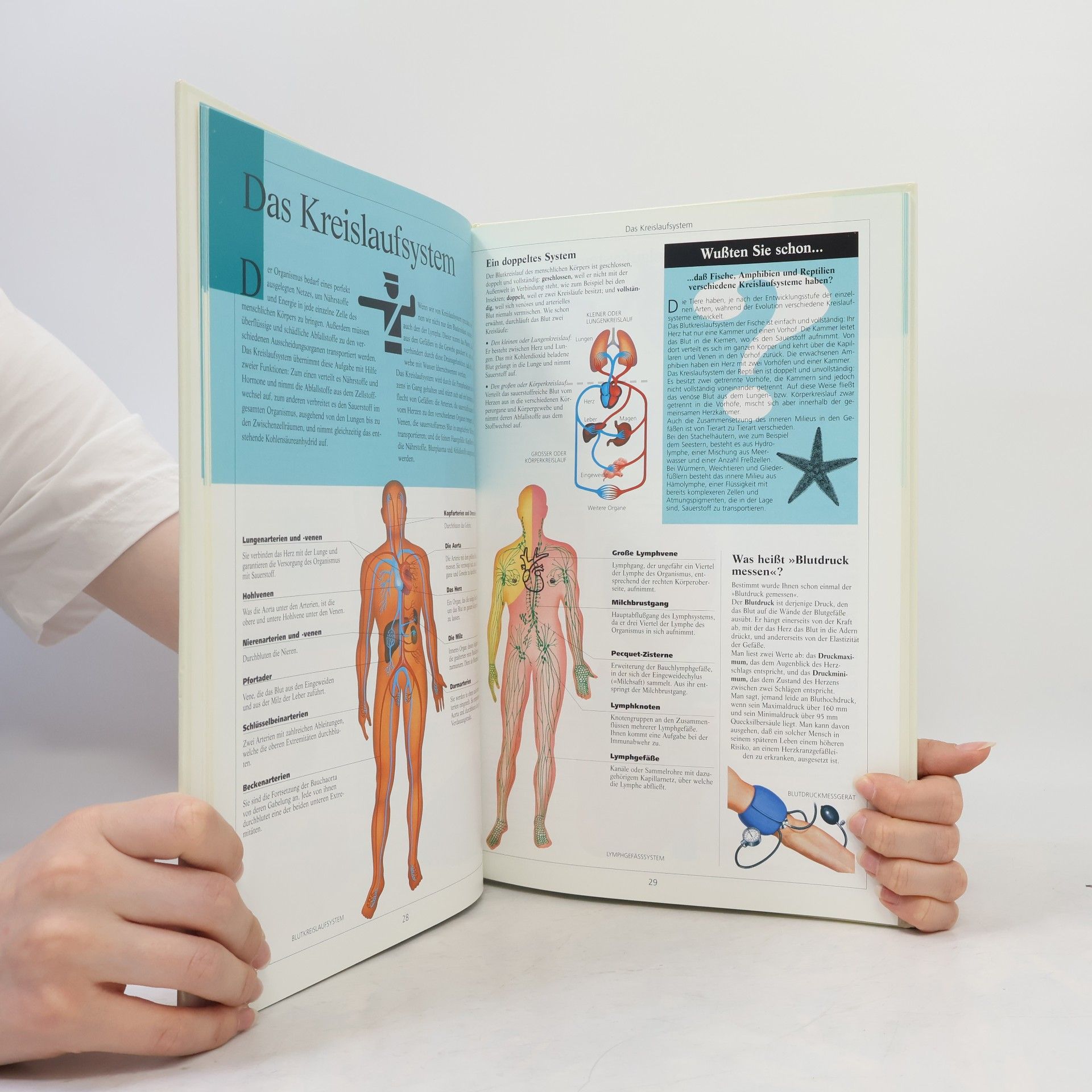 Michael Damm Der menschliche Körper