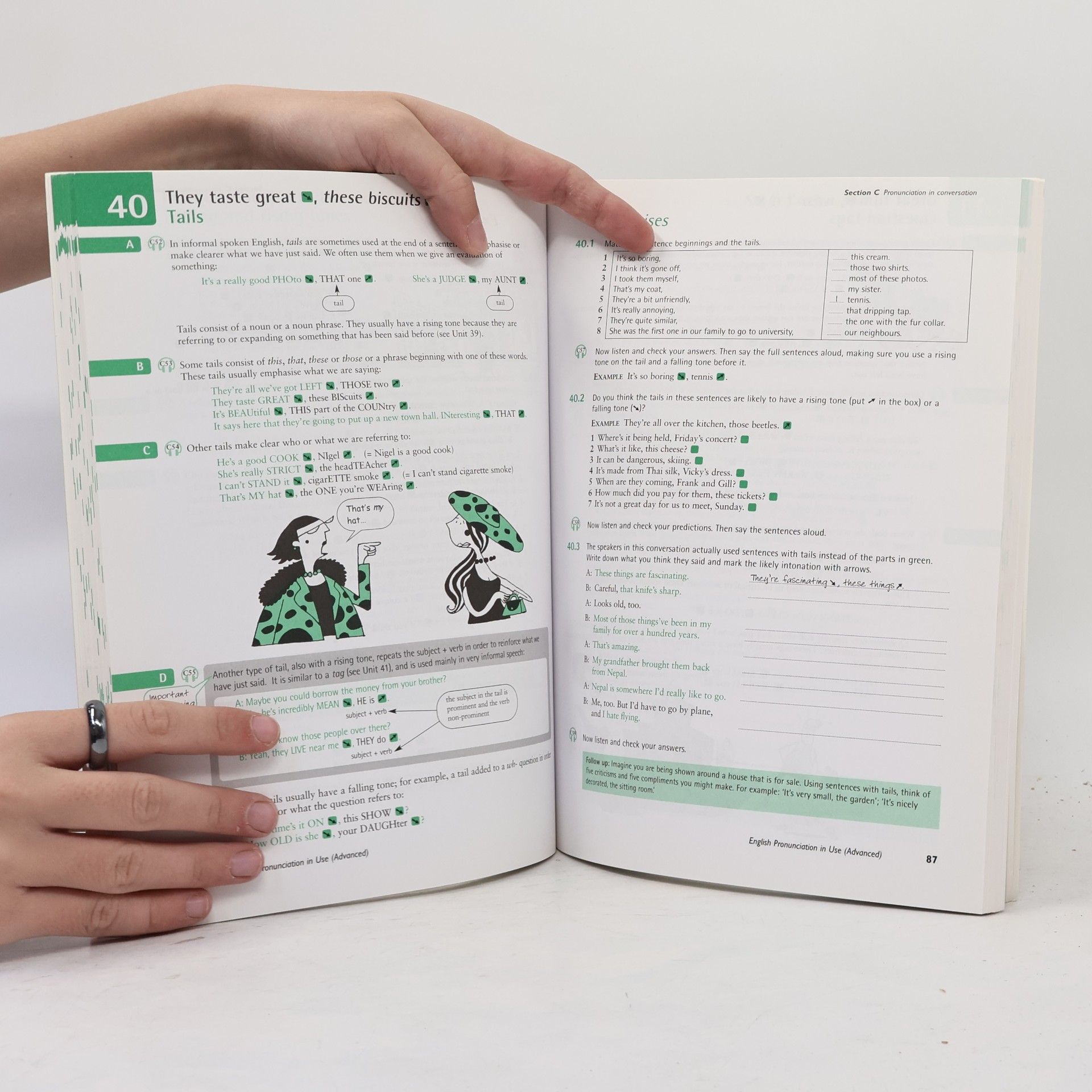 Martin Hewings English Pronunciation in Use : Self-study and classroom use. Advanced