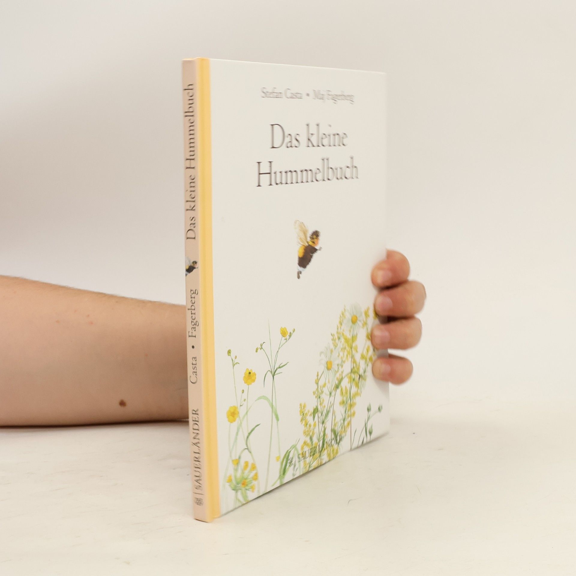 Stefan Casta Das kleine Hummelbuch