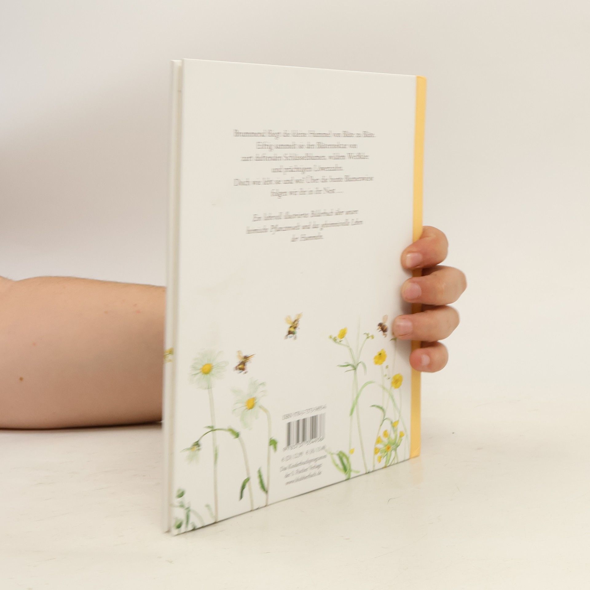 Stefan Casta Das kleine Hummelbuch