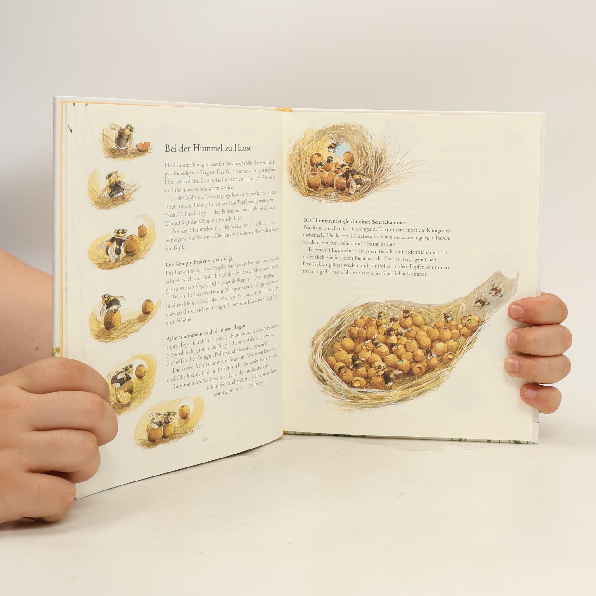 Stefan Casta Das kleine Hummelbuch