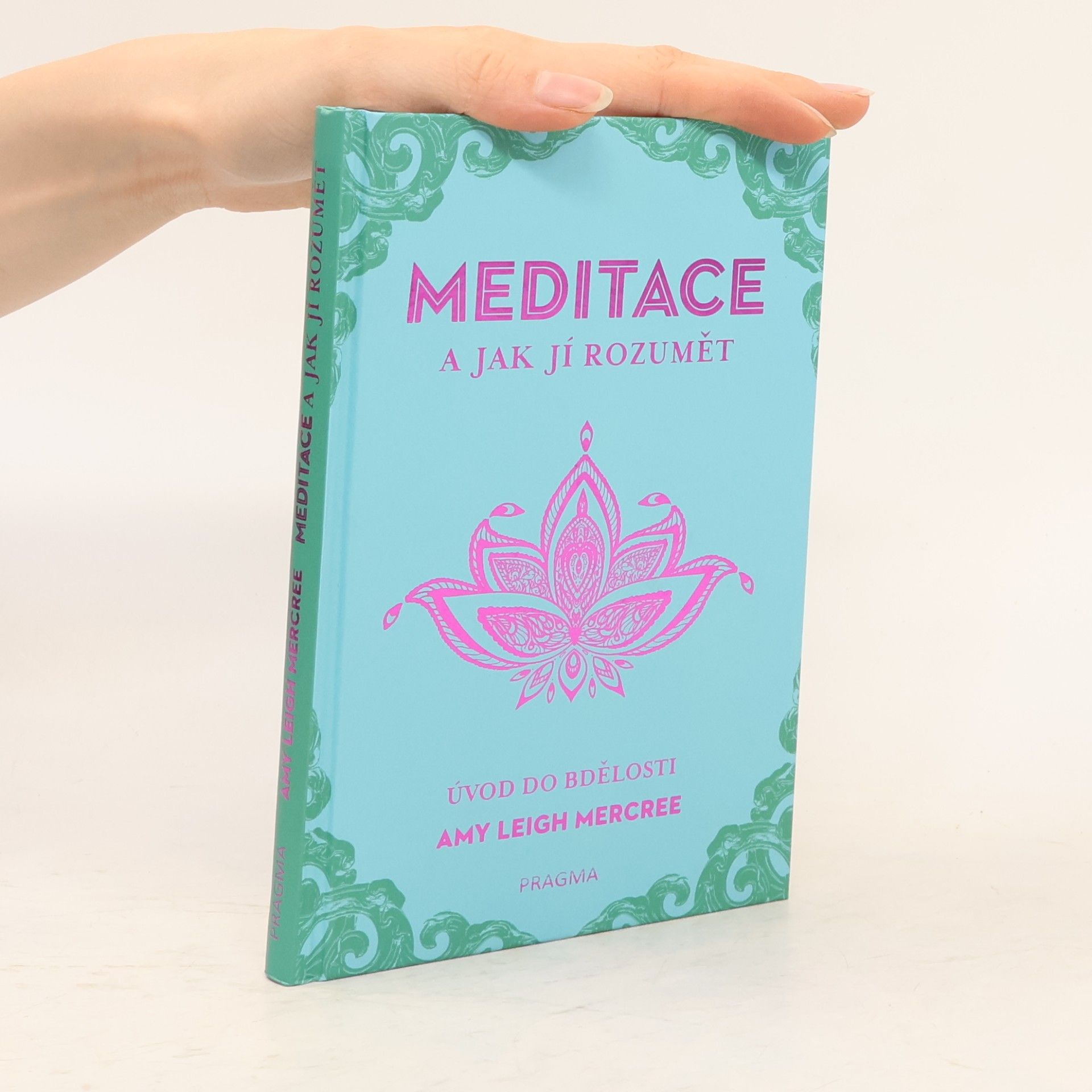 Amy Leigh Mercree Meditace a jak jí rozumět - Úvod do bdělosti