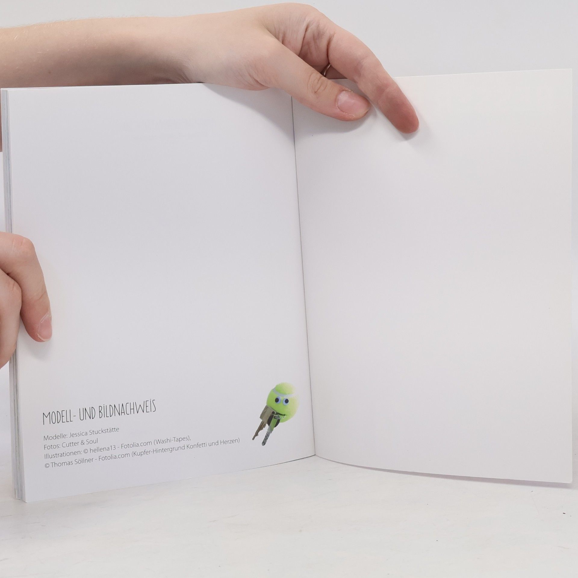 Various authors Kreative Upcycling-Ideen