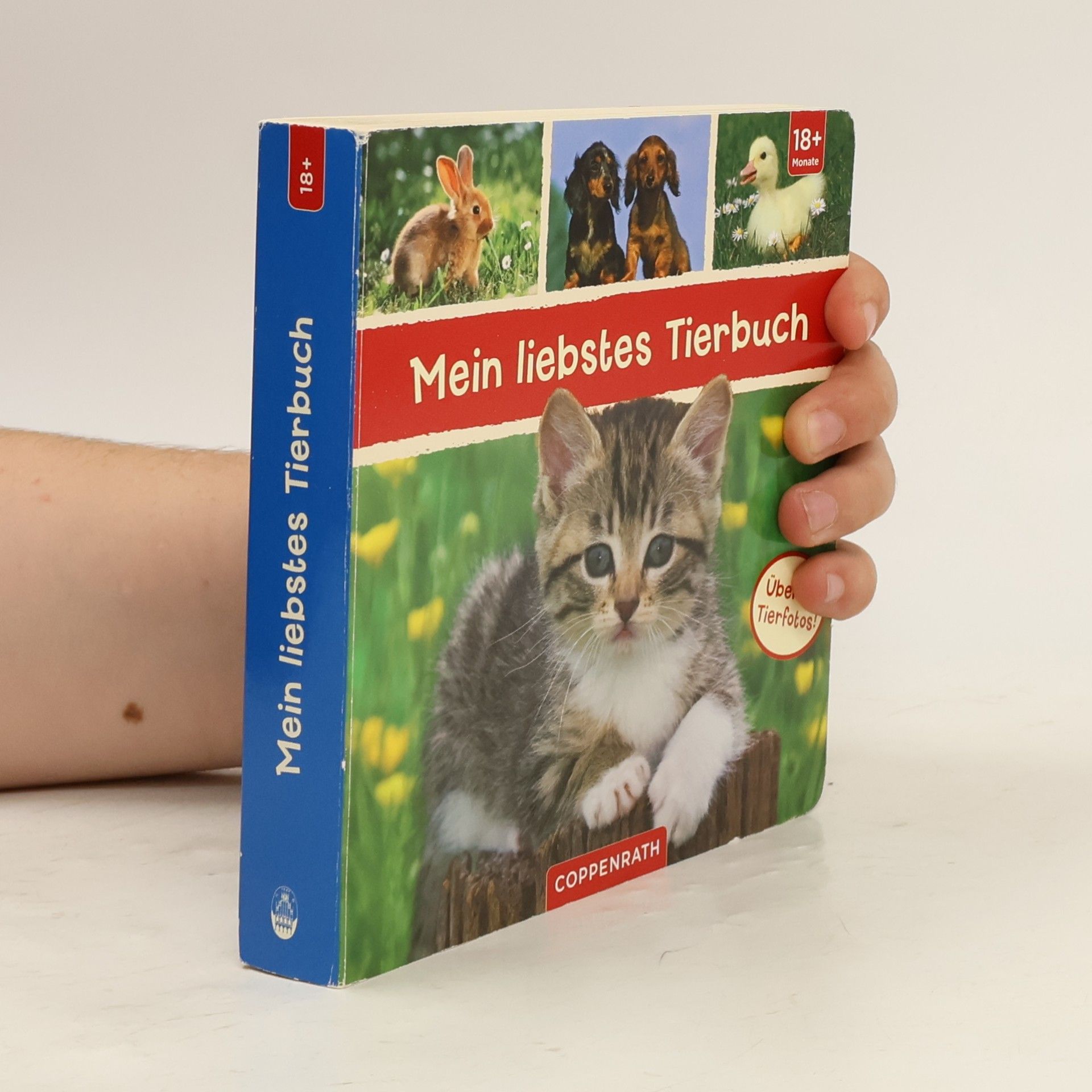 Kolektiv autorů Mein liebstes Tierbuch