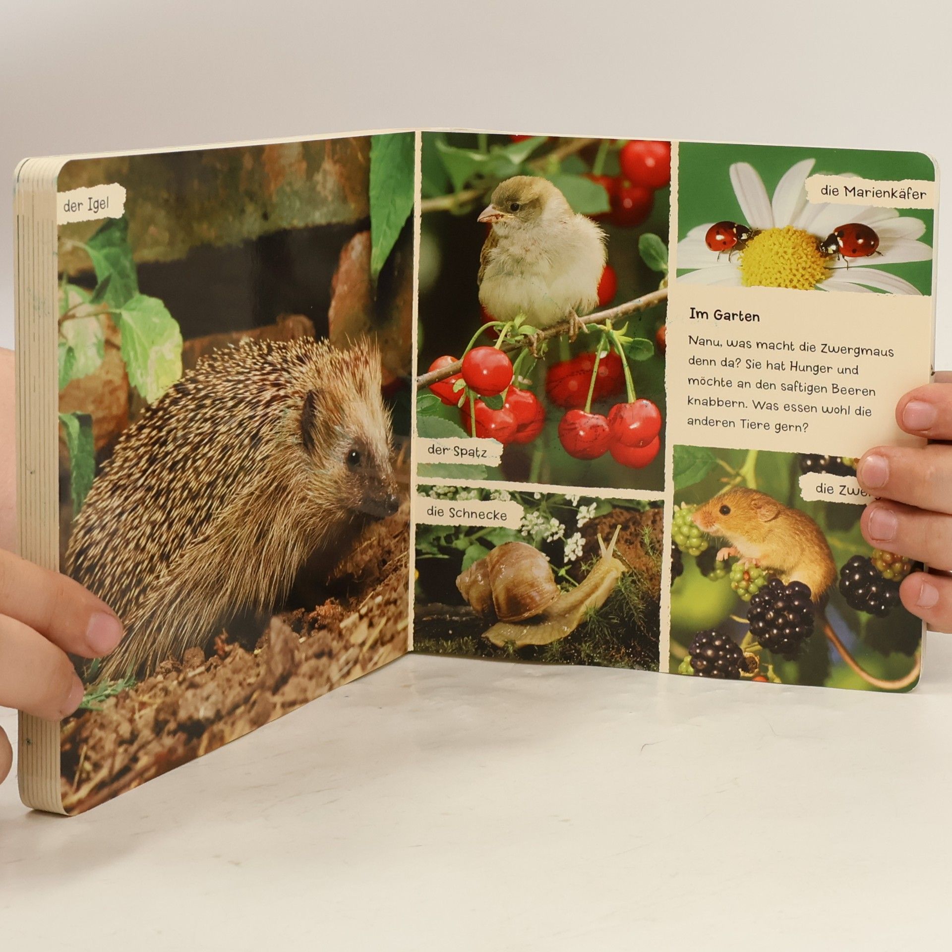 Mein liebstes Tierbuch