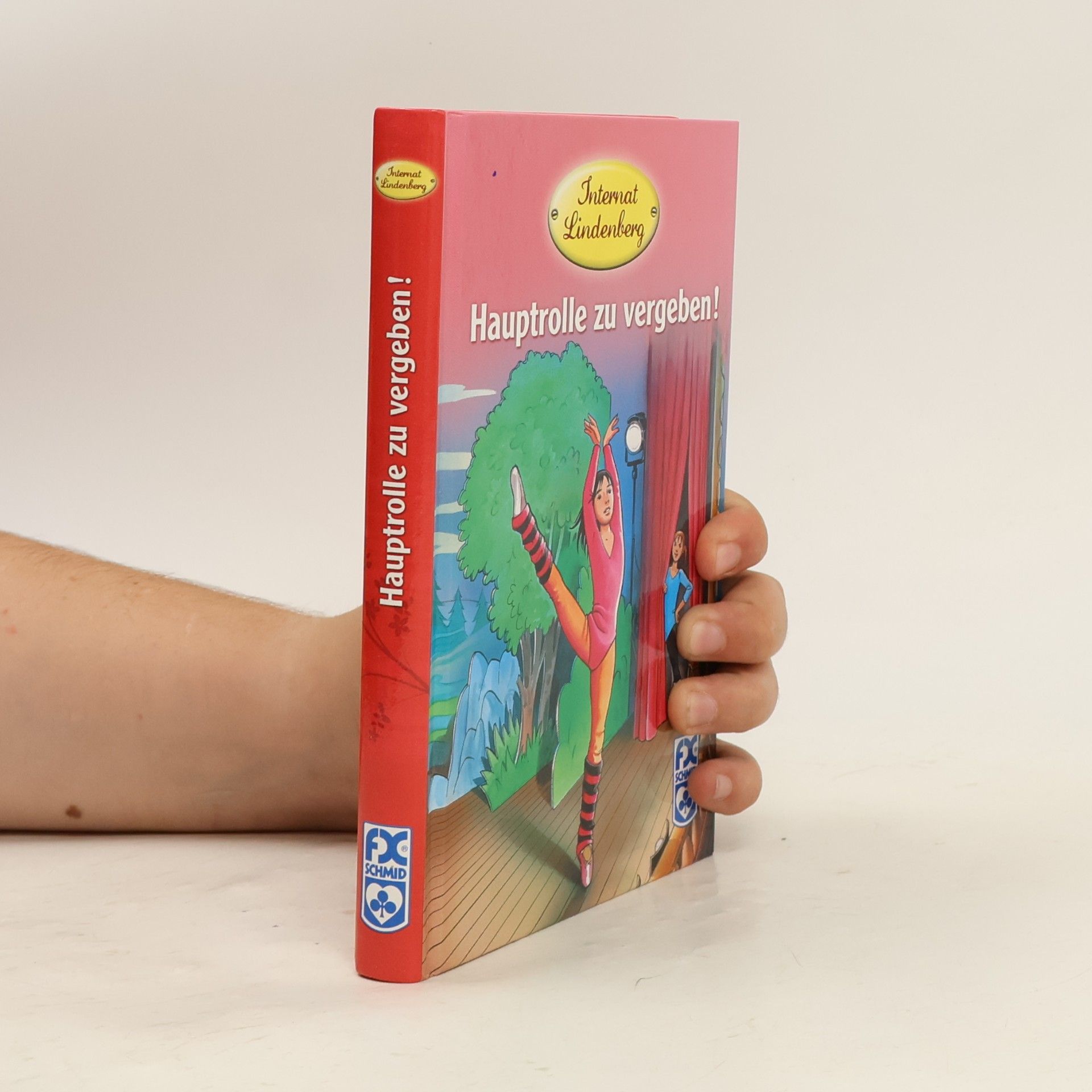 Autores varios Internat Lindenberg. Hauptrolle zu vergeben!