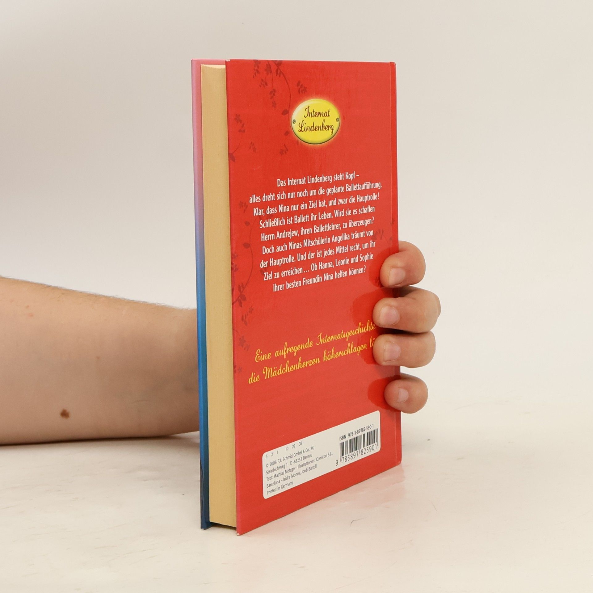 Autores varios Internat Lindenberg. Hauptrolle zu vergeben!