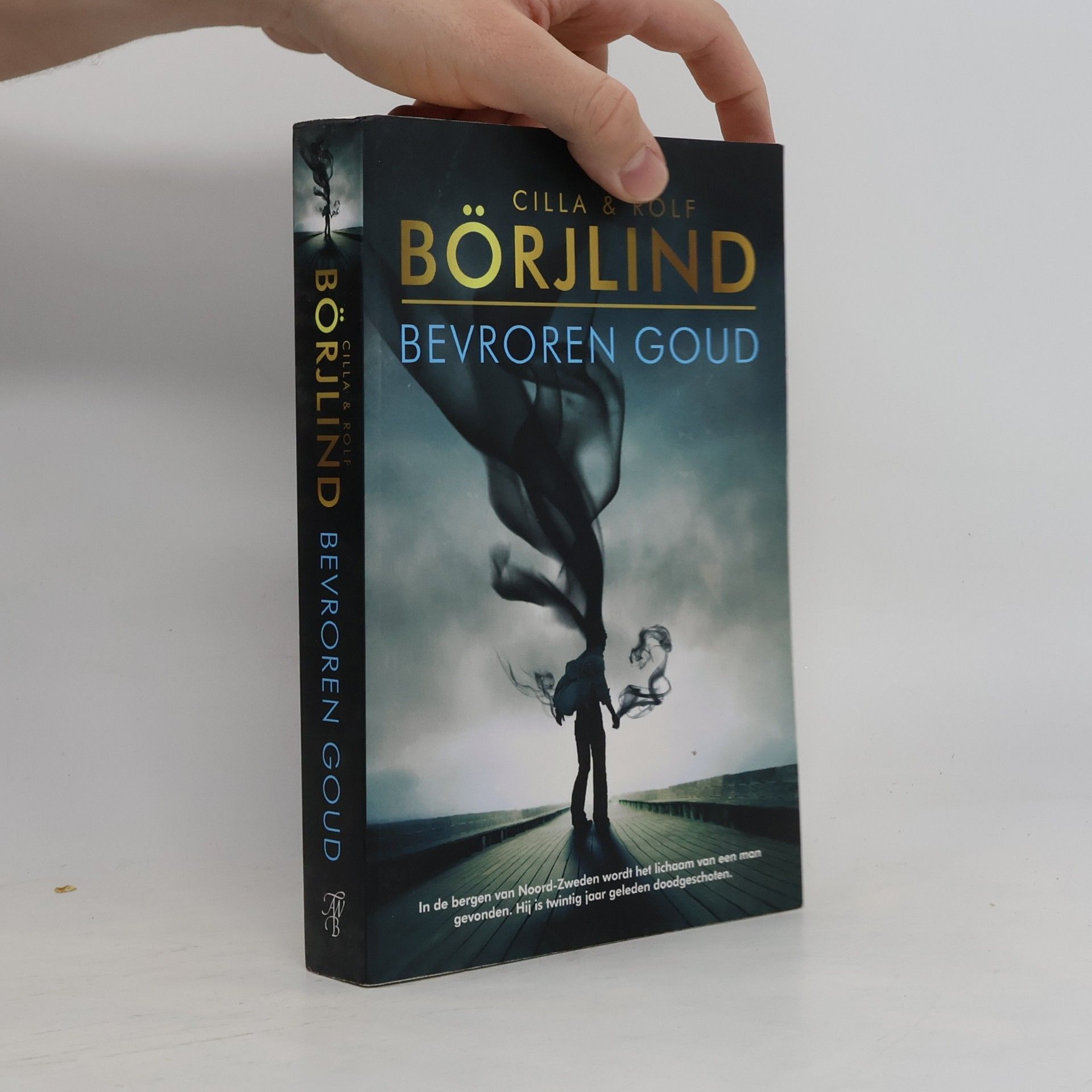 Cilla Börjlind Rönning & Stilton - 6: Bevroren goud