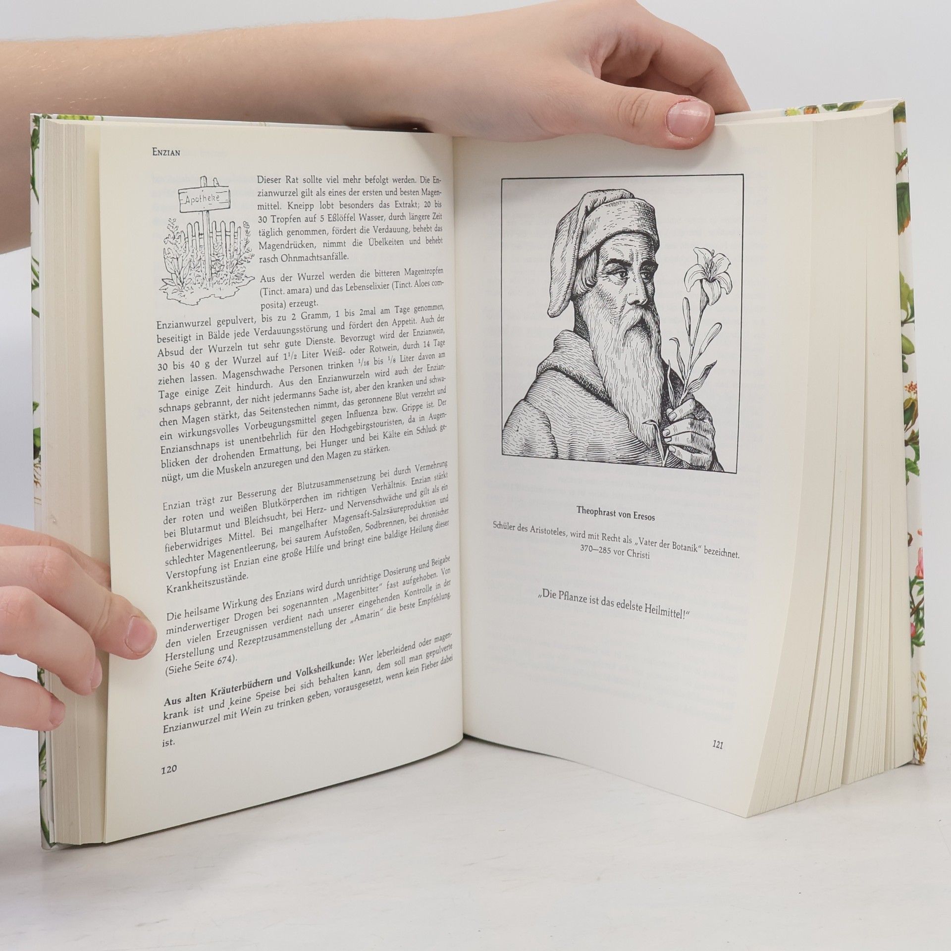 Richard Willfort Das grosse Handbuch der Heilkräuter