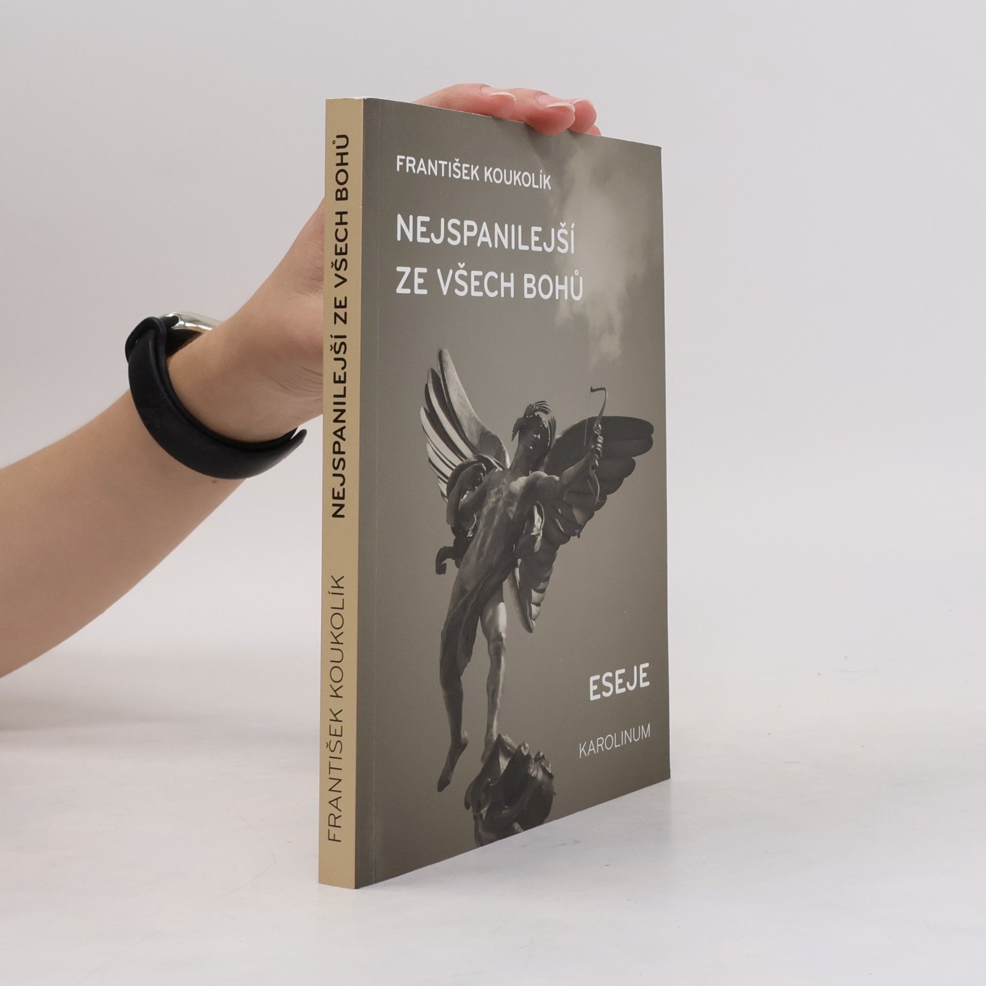 František Koukolík Nejspanilejší ze všech bohů : eseje