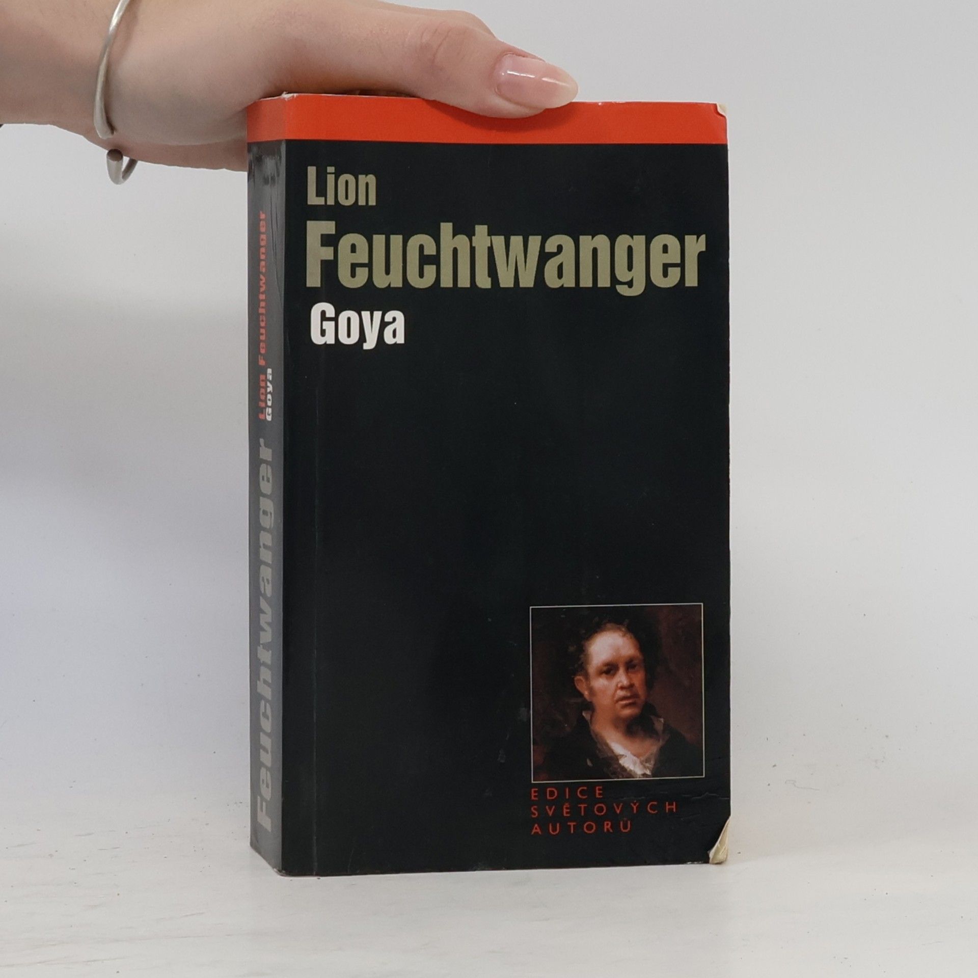 Lion Feuchtwanger Goya