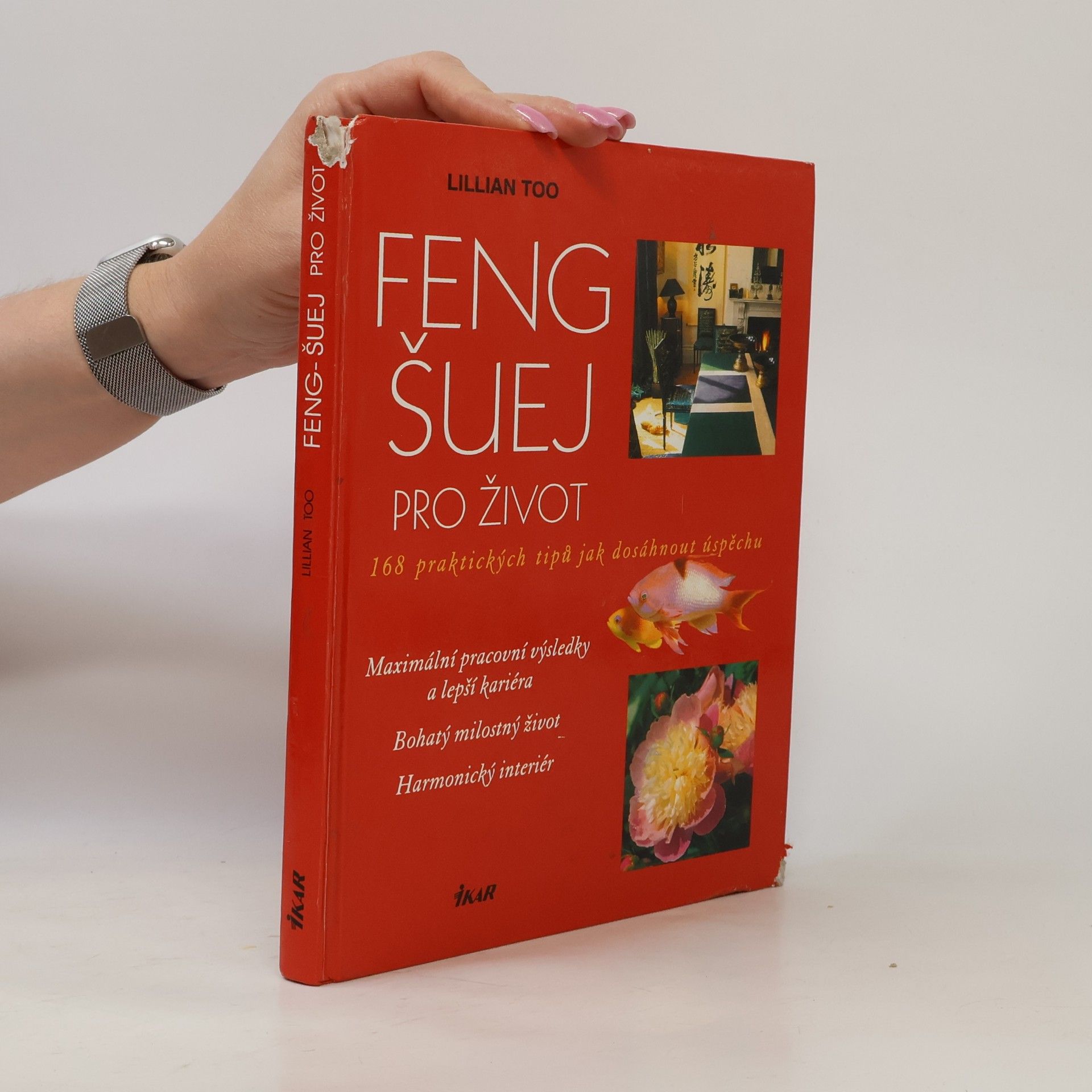 Lillian Too Feng-šuej pro život. 168 praktických tipů jak dosáhnout úspěchu