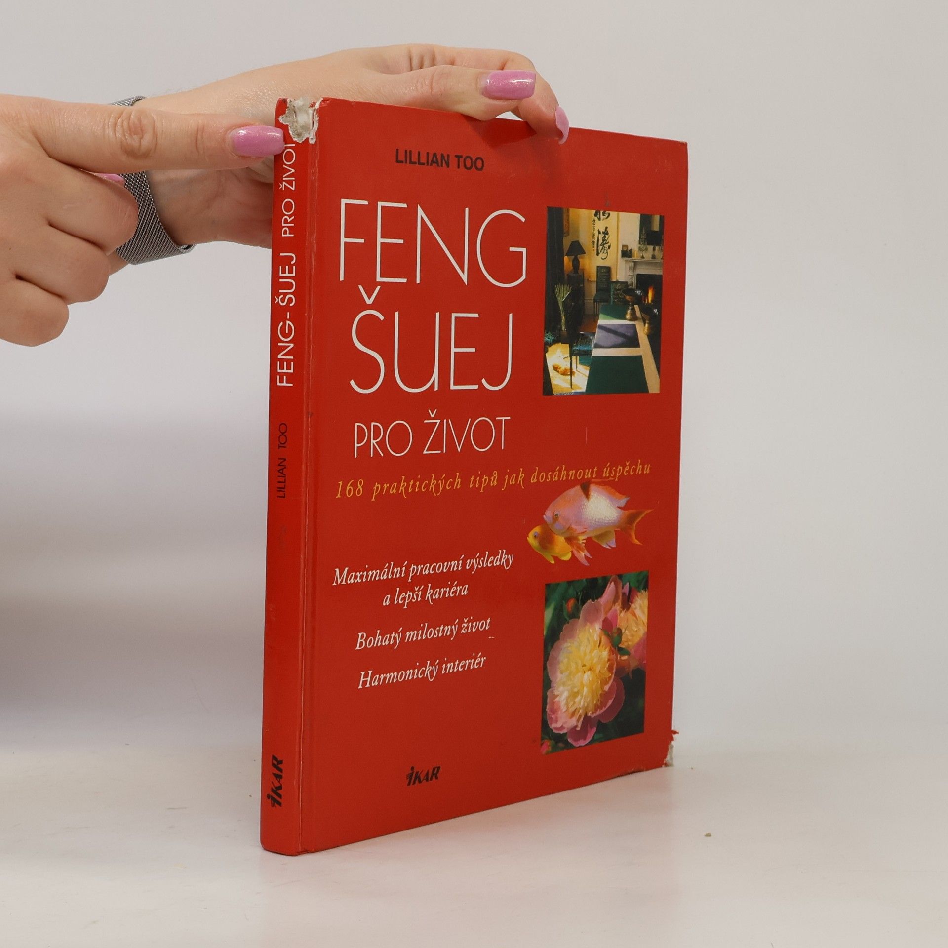 Lillian Too Feng-šuej pro život. 168 praktických tipů jak dosáhnout úspěchu