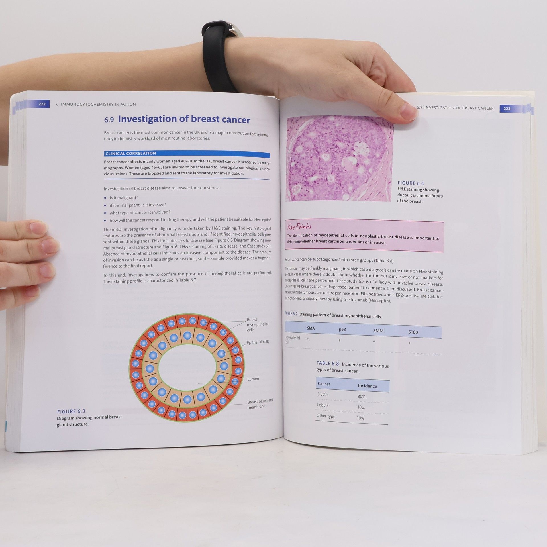 Guy Orchard Fundamentals of Biomedical Science: Histopathology