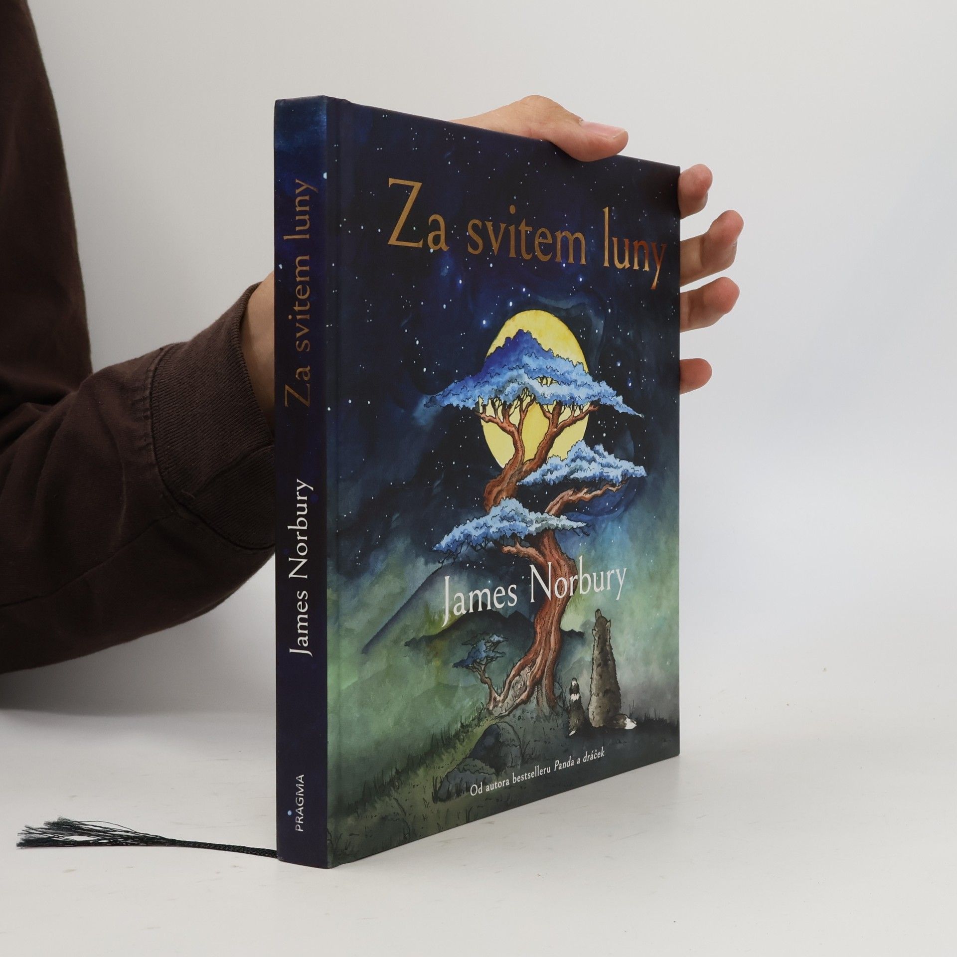 James Norbury Za svitem luny
