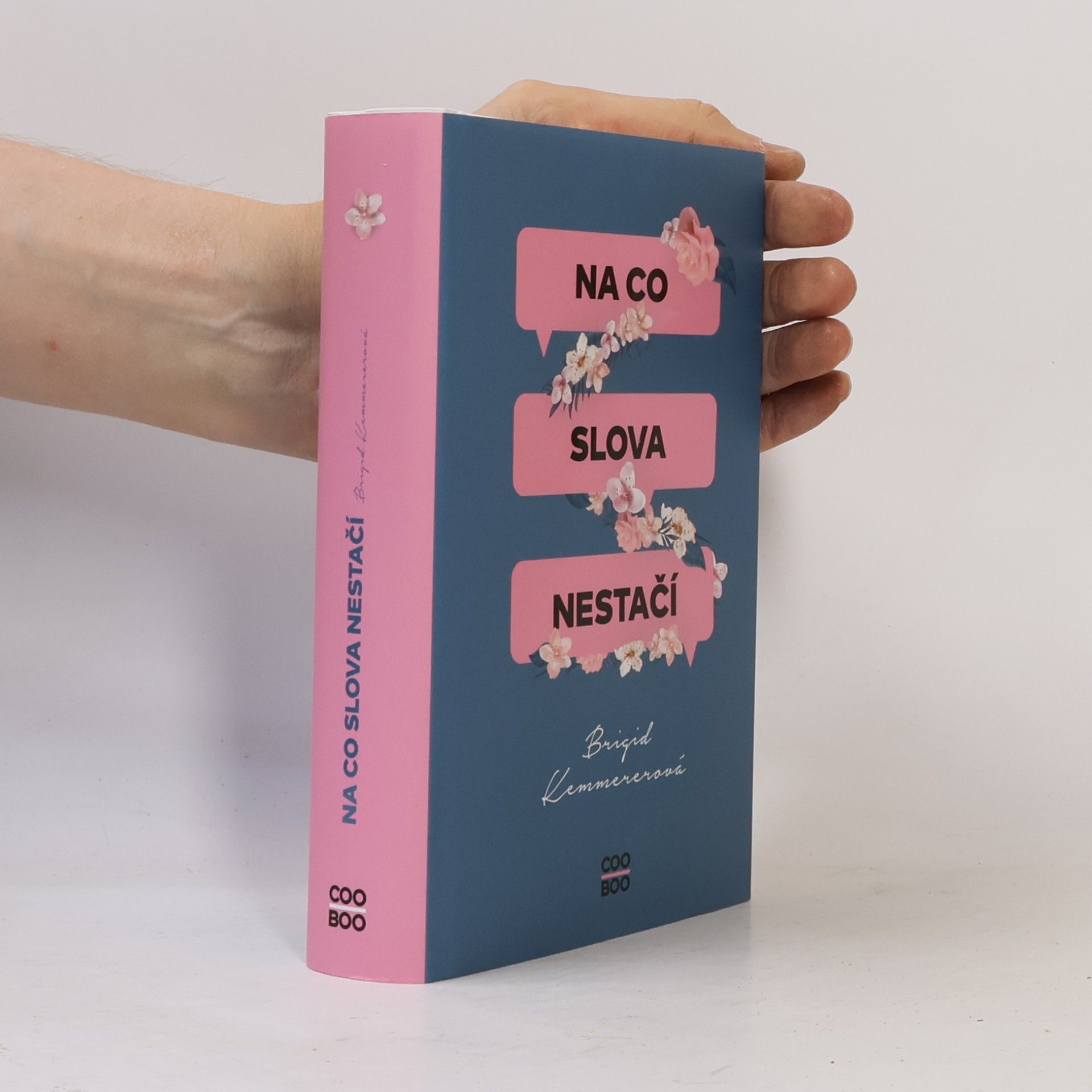 Brigid Kemmerer Na co slova nestačí